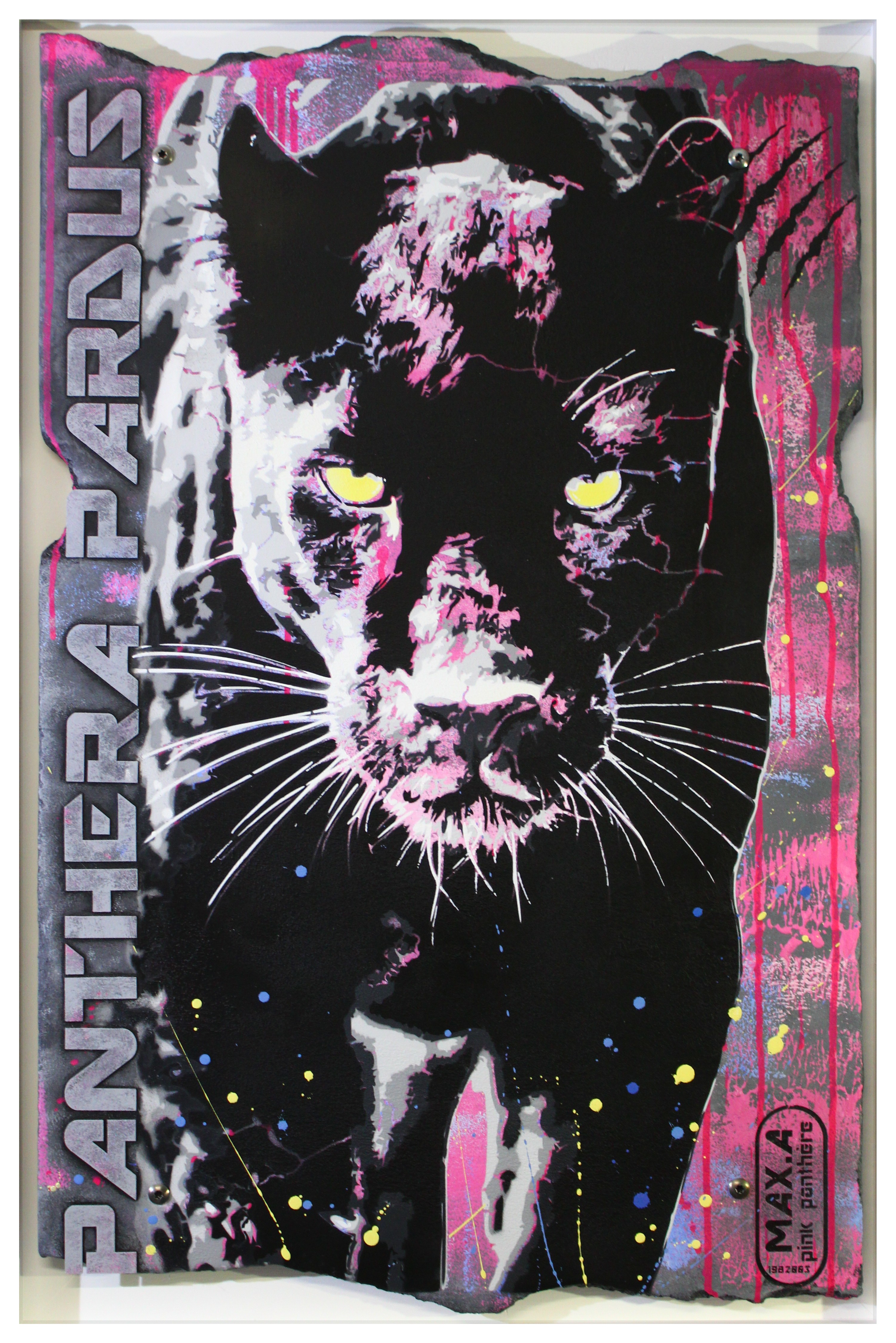 Maxime Andriot, Panthera pardus Maxime Andriot, Panthera pardus