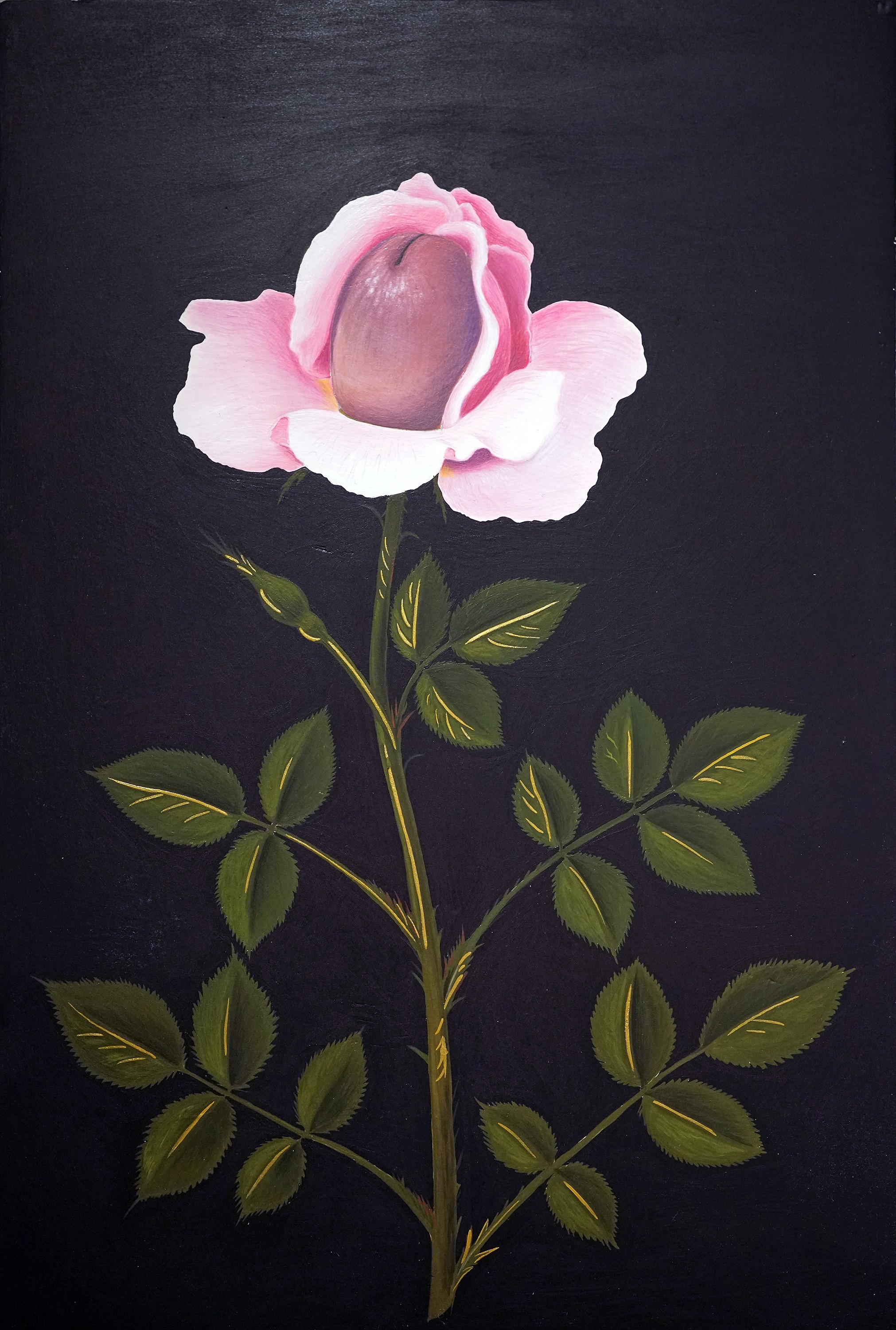 Lyuben Domozetski, Botanica Secreta Lyuben Domozetski, Botanica Secreta
