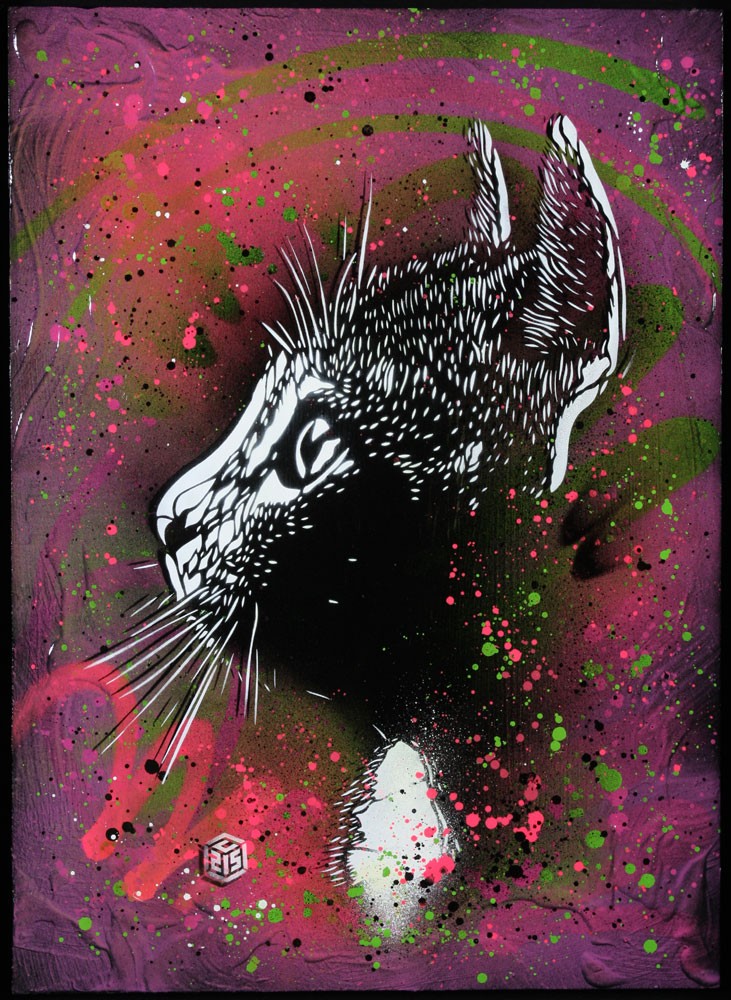 C215, Cats C215, Cats