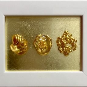 Pittura, Assorted Unknown Seeds, #5, Yuiko Ráyka