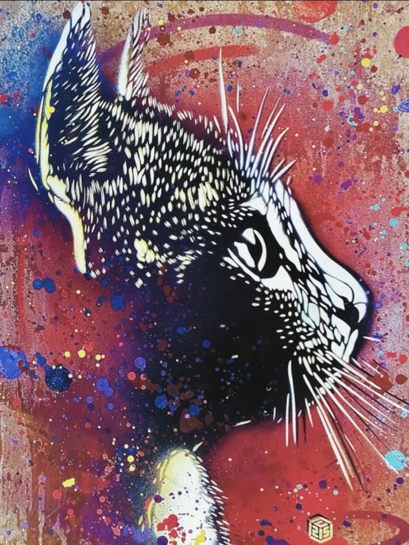 C215, Mallow C215, Mallow