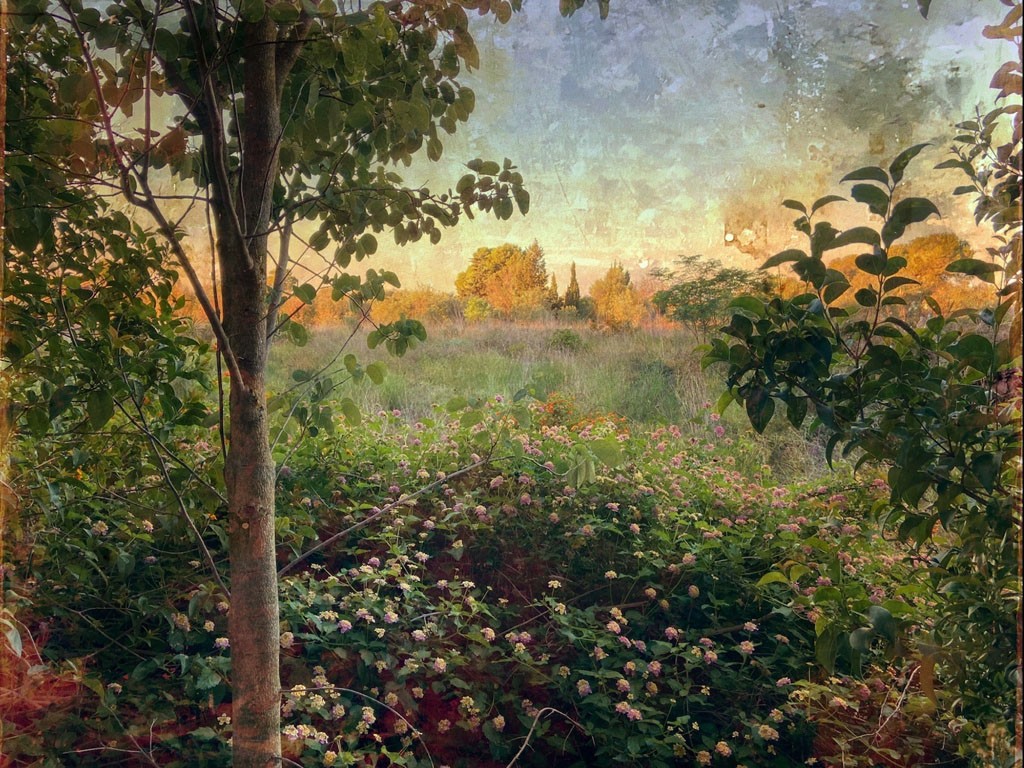 Incerta Gloria, El despertar de la vida (I) Incerta Gloria, El despertar de la vida (I)