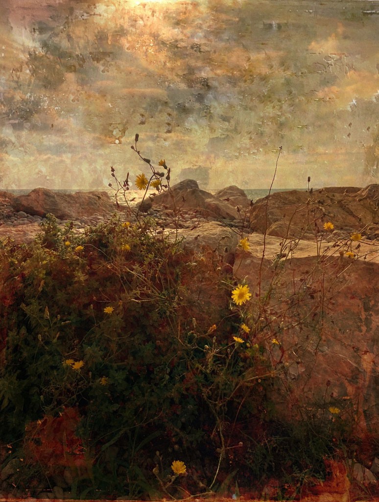 Incerta Gloria, La flor y el mar Incerta Gloria, La flor y el mar