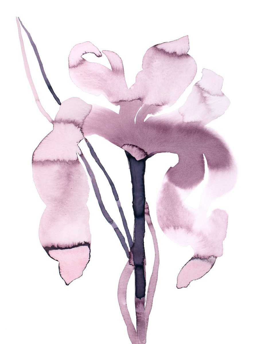 Elizabeth Becker, Iris No. 200 Elizabeth Becker, Iris No. 200