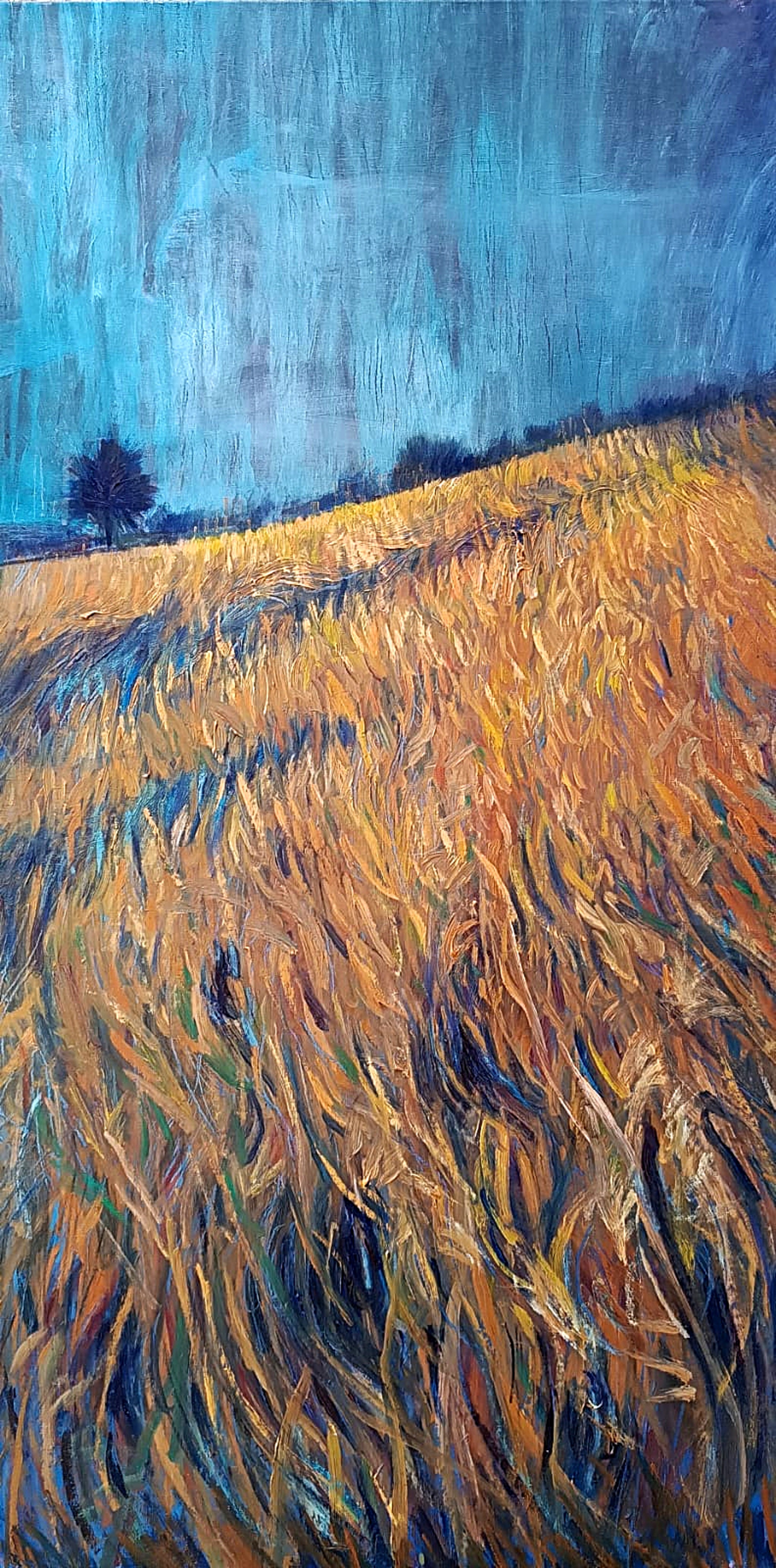 Mauro Tròlese, Campo di grano con galassie e buchi neri Mauro Tròlese, Campo di grano con galassie e buchi neri