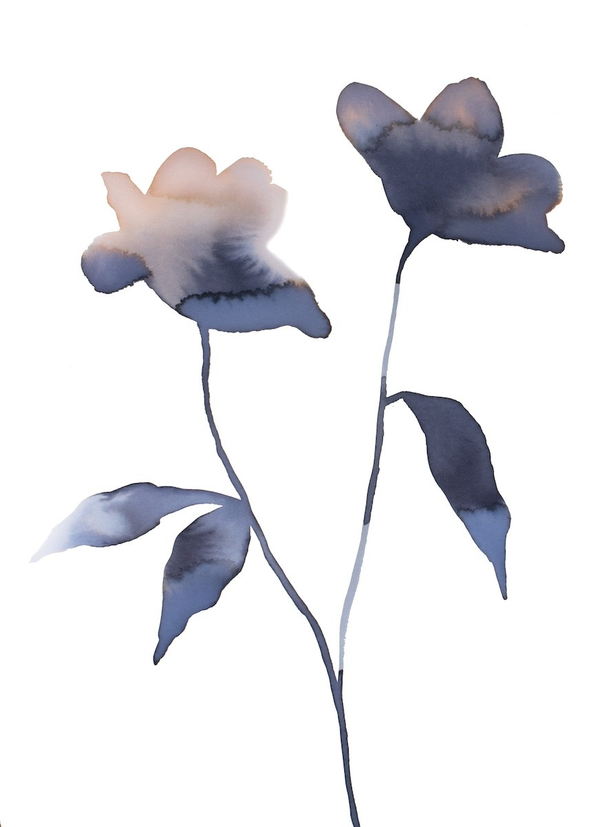 Elizabeth Becker, Floral no. 21 Elizabeth Becker, Floral no. 21