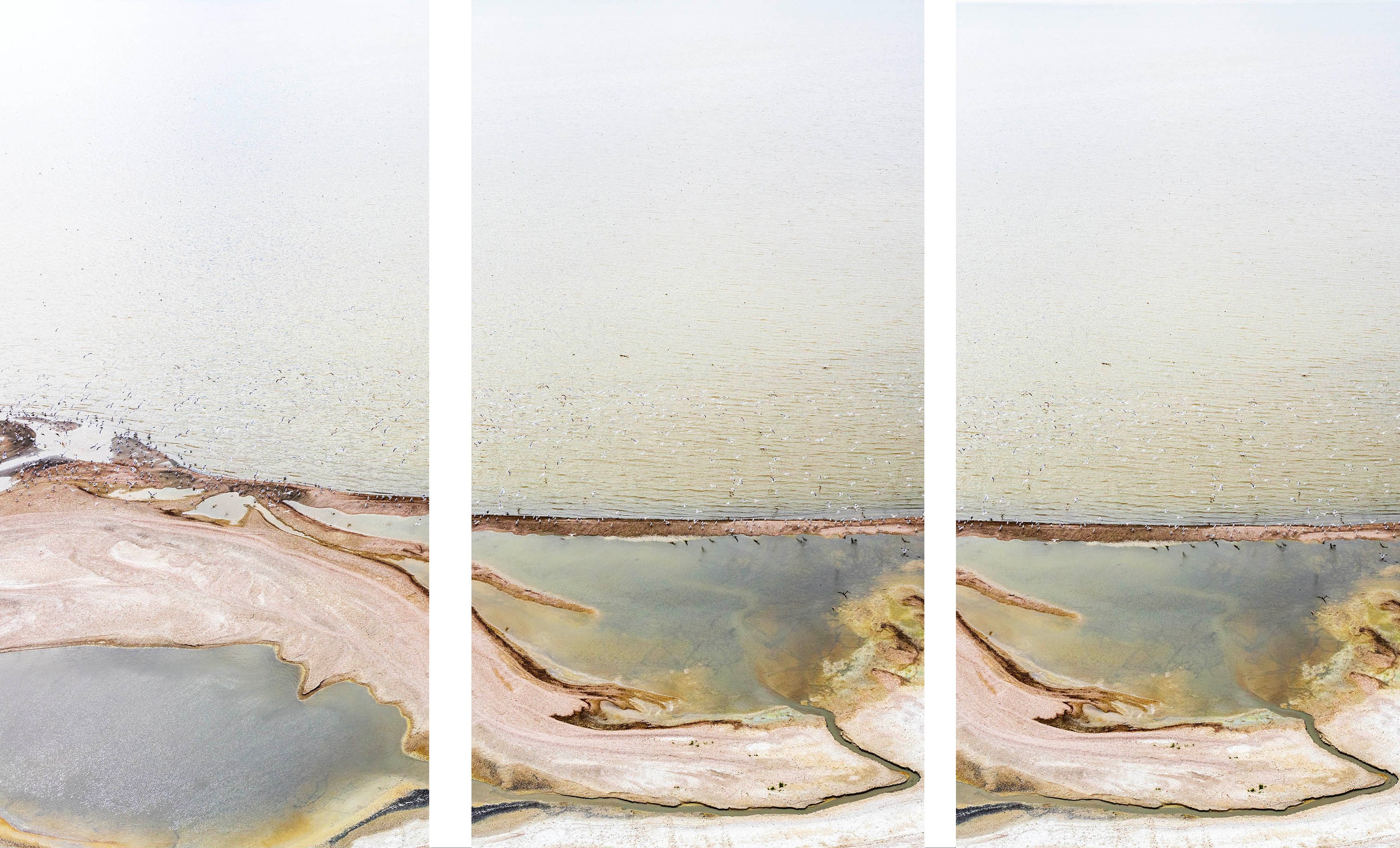 Jill Peters, Untitled 2222. Triptych Jill Peters, Untitled 2222. Triptych