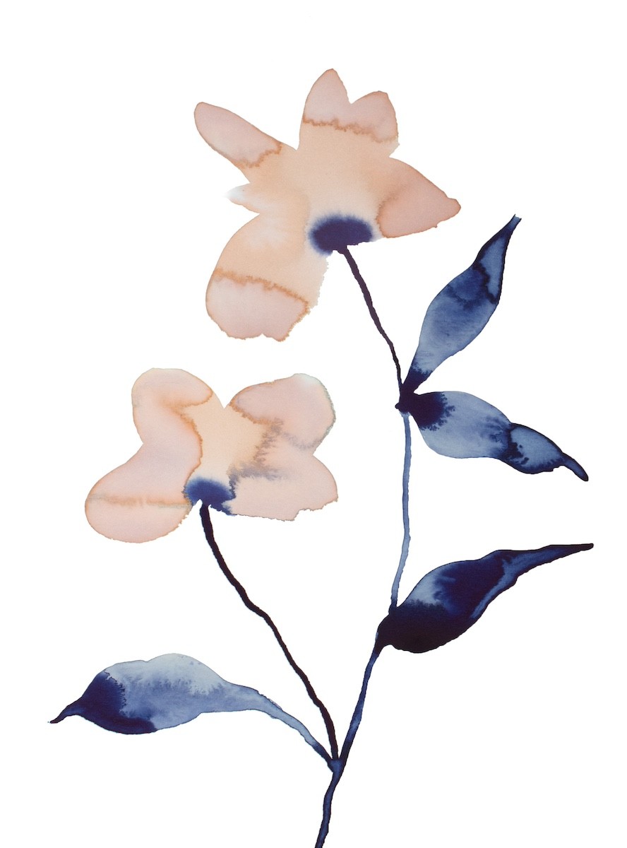 Elizabeth Becker, Floral no. 22 Elizabeth Becker, Floral no. 22