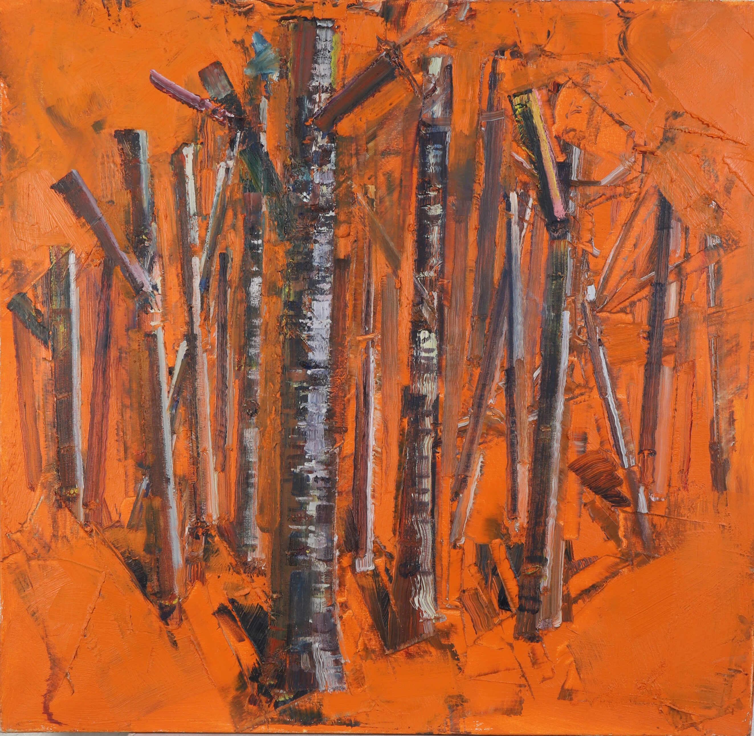 Pierre-Marie Ziegler, Reclusion Pierre-Marie Ziegler, Reclusion
