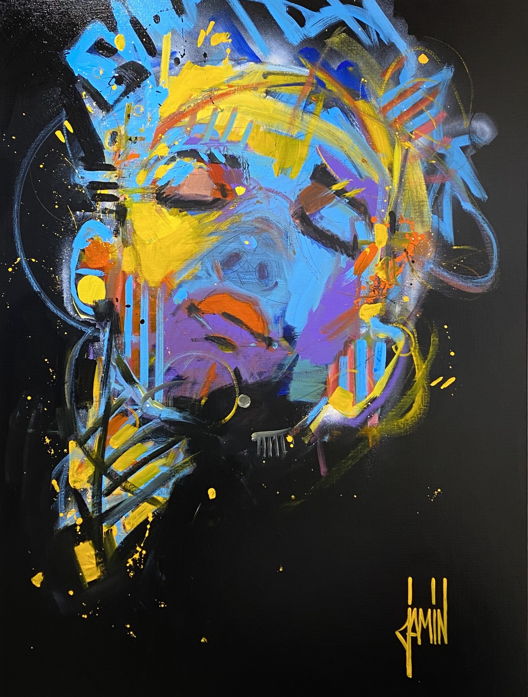 David Jamin, Introportrait à la nuit David Jamin, Introportrait à la nuit