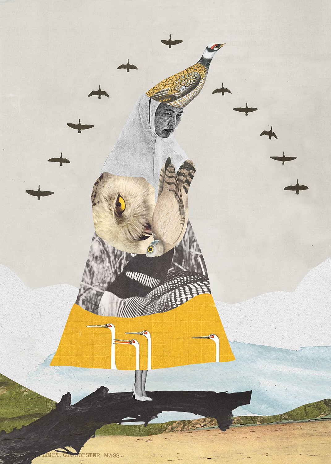 Dréa, La dame aux oiseaux Dréa, La dame aux oiseaux