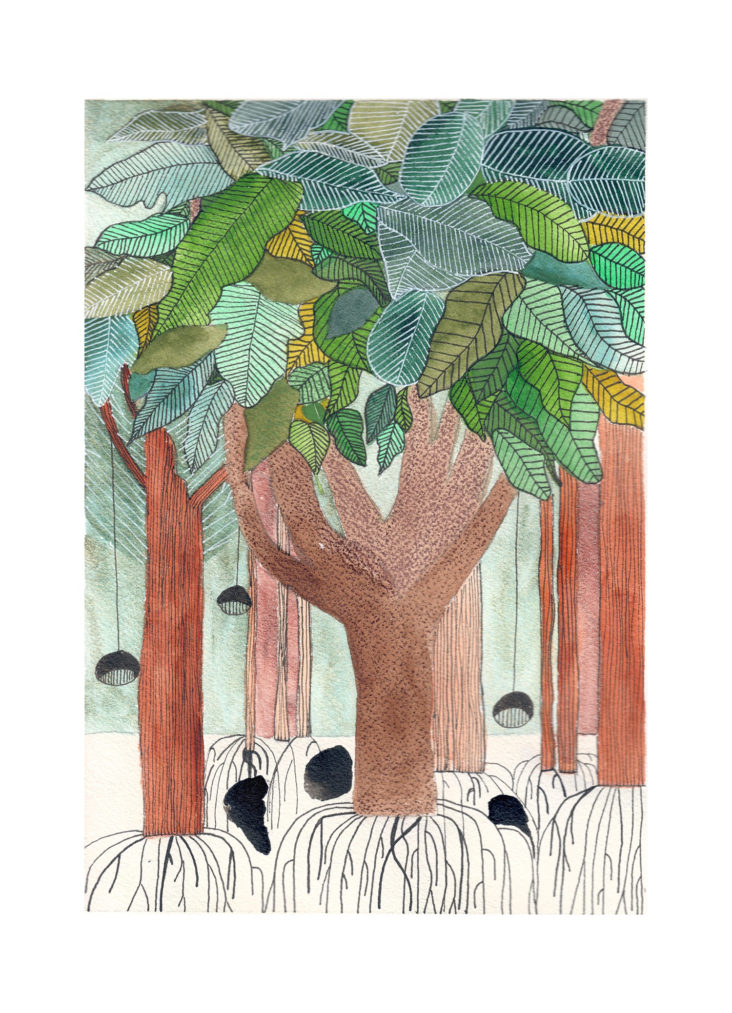Gris De Garance, Forêt racines verte Gris De Garance, Forêt racines verte