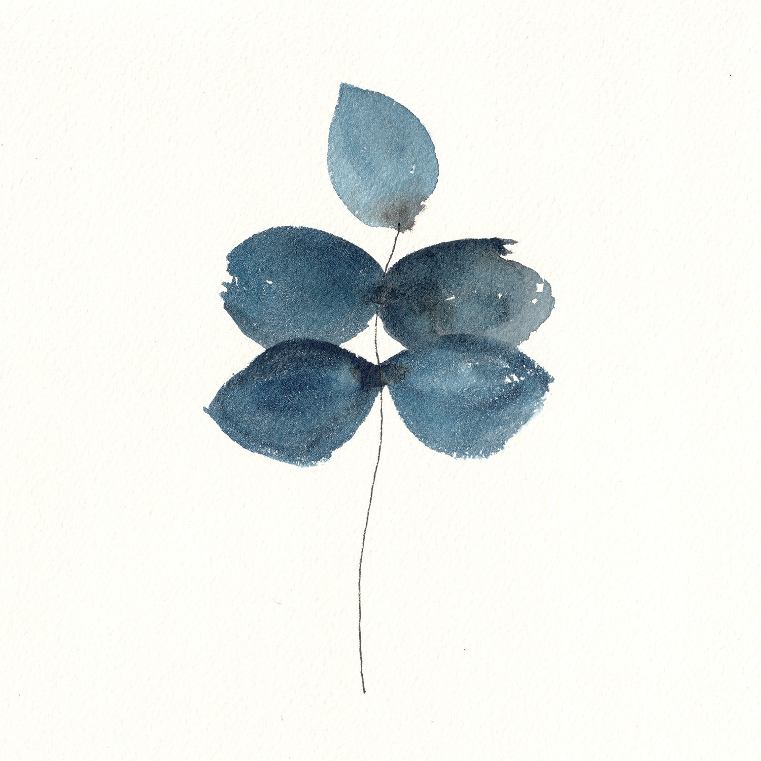 Gris De Garance, Fleurs sombres 3 Gris De Garance, Fleurs sombres 3