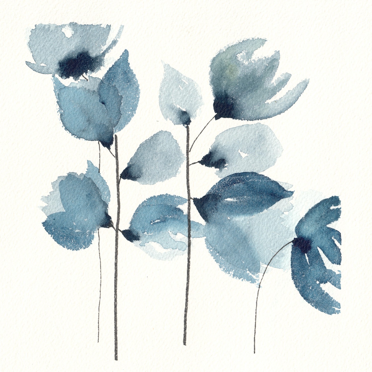Gris De Garance, Fleurs sombres 5 Gris De Garance, Fleurs sombres 5