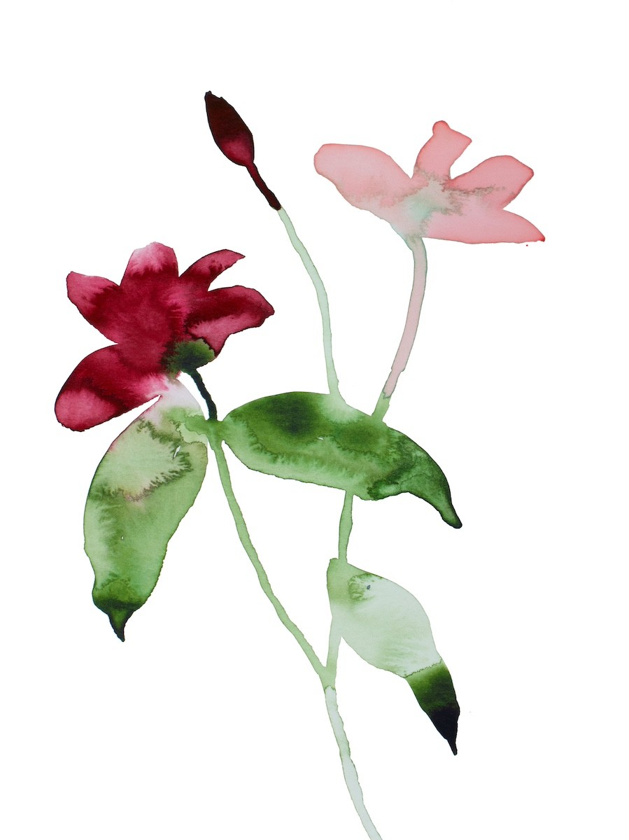 Elizabeth Becker, Floral no. 24 Elizabeth Becker, Floral no. 24