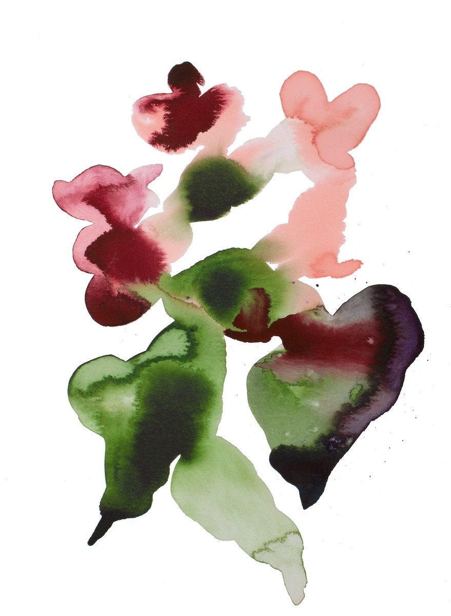 Elizabeth Becker, Abstract Floral Elizabeth Becker, Abstract Floral