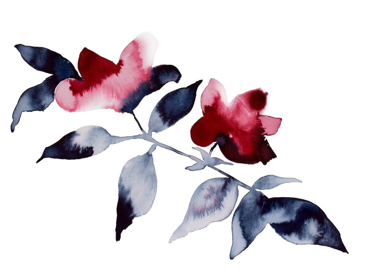 Elizabeth Becker, Floral No. 23 Elizabeth Becker, Floral No. 23
