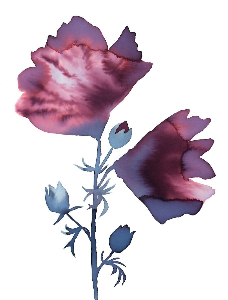Elizabeth Becker, Floral No. 26 Elizabeth Becker, Floral No. 26