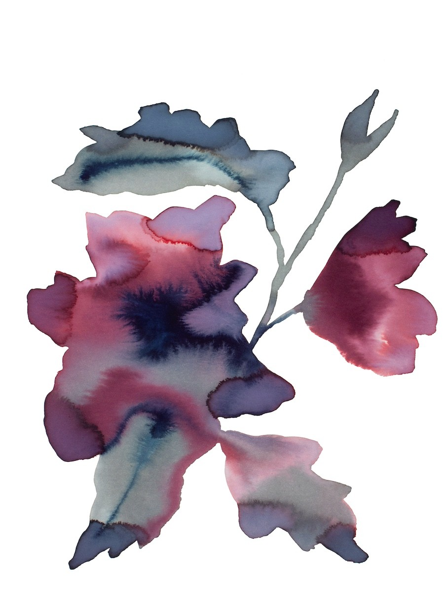 Elizabeth Becker, Floral No. 27 Elizabeth Becker, Floral No. 27