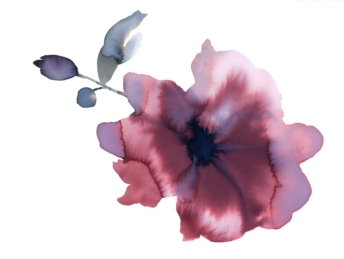 Elizabeth Becker, Floral No. 28 Elizabeth Becker, Floral No. 28