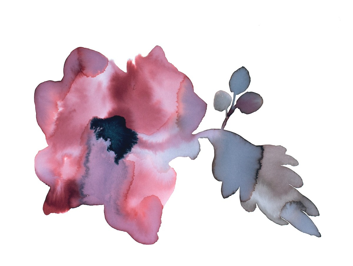 Elizabeth Becker, Floral No. 29 Elizabeth Becker, Floral No. 29