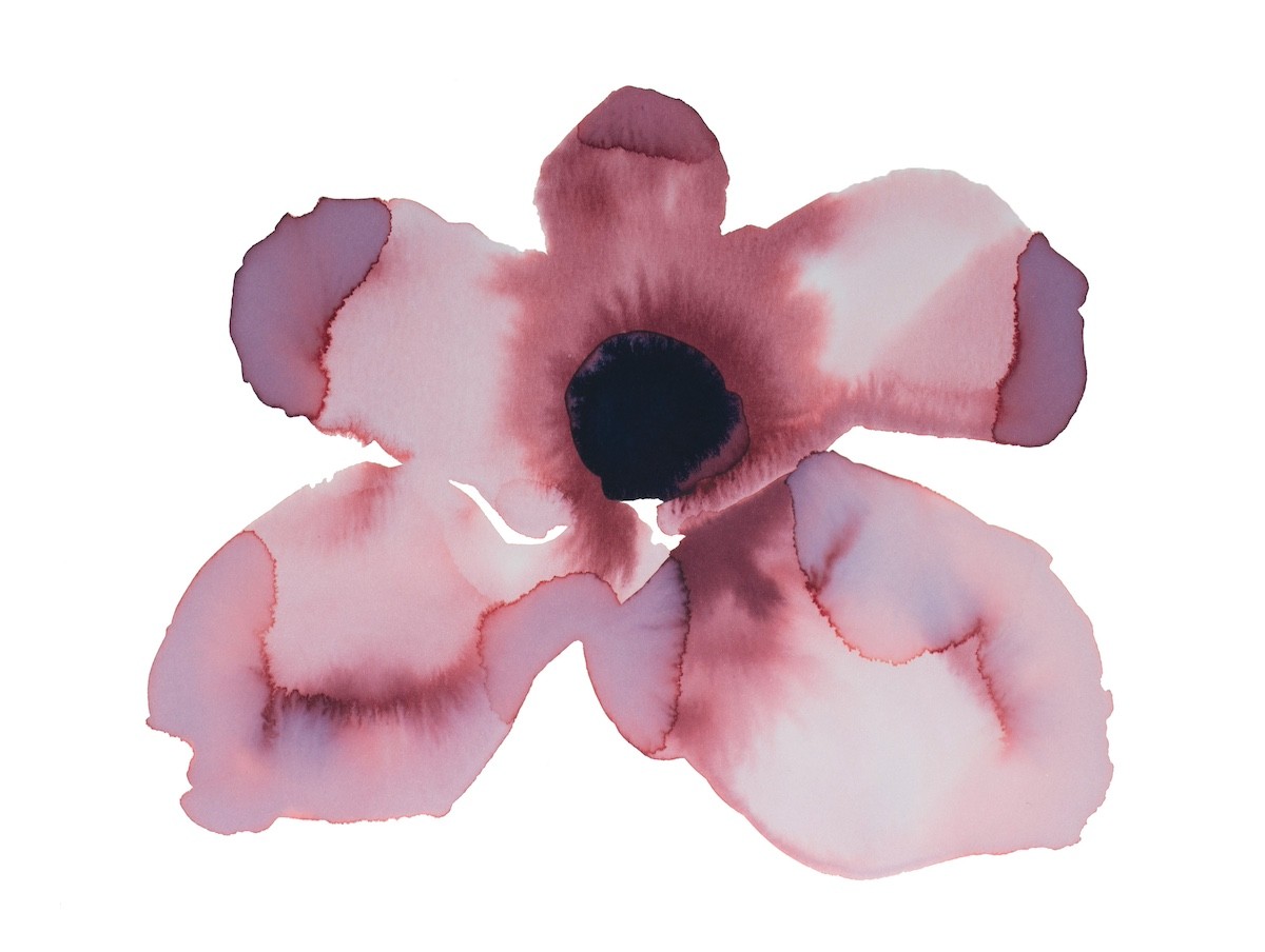 Elizabeth Becker, Floral No. 30 Elizabeth Becker, Floral No. 30