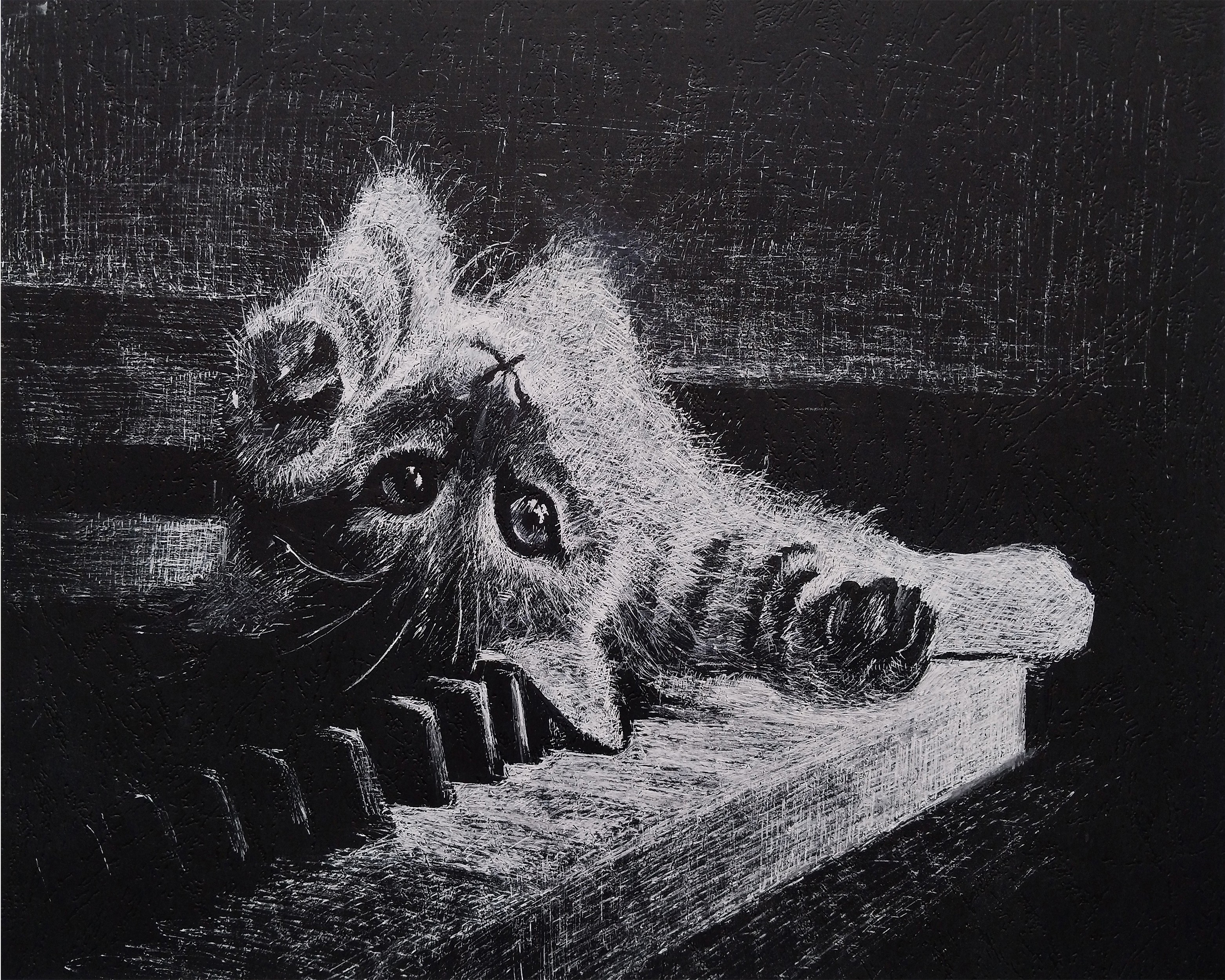 Kamo Ohanyan, Whiskers on keys Kamo Ohanyan, Whiskers on keys