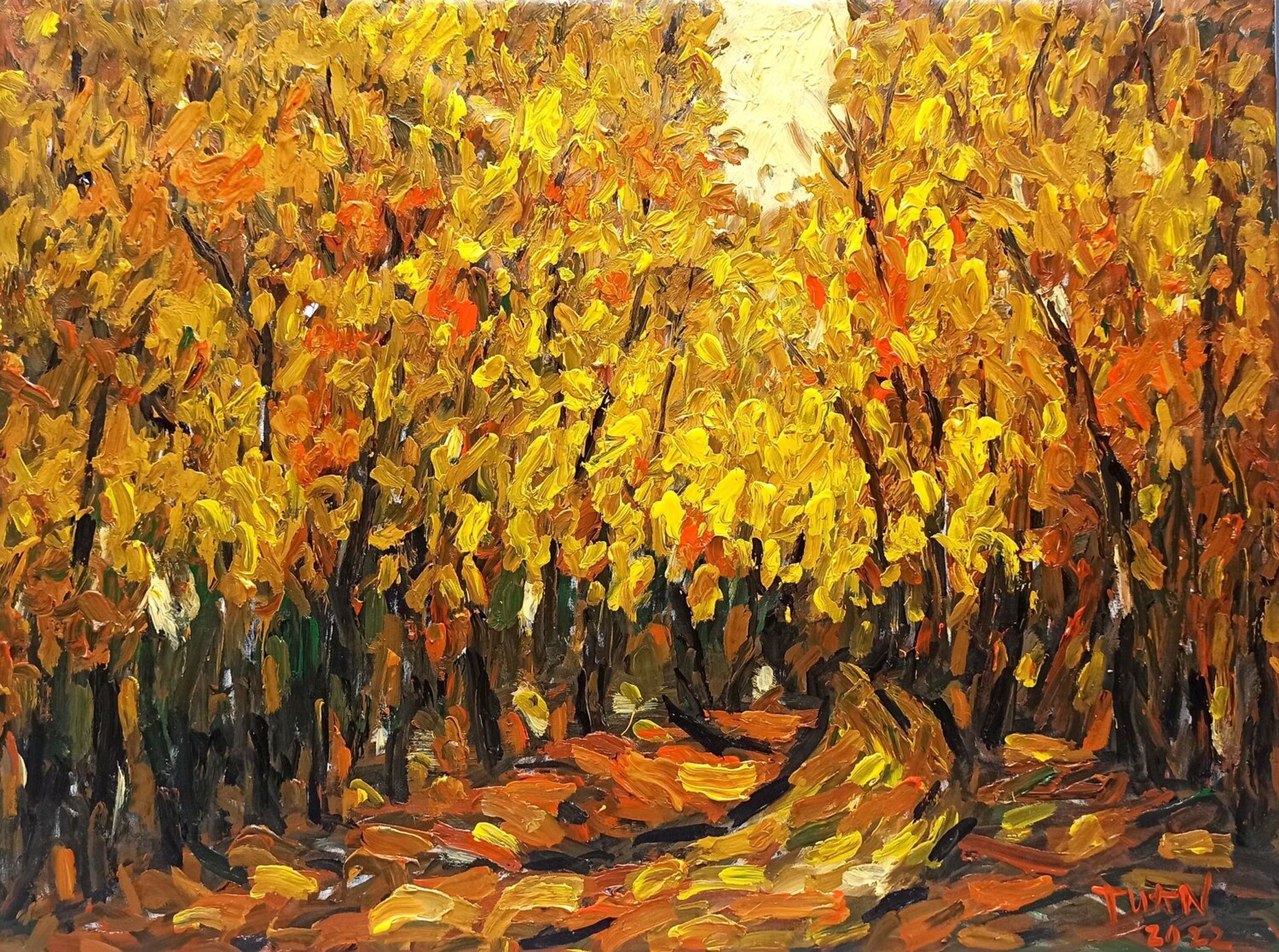 Le anh Tuan, Autumn Le anh Tuan, Autumn