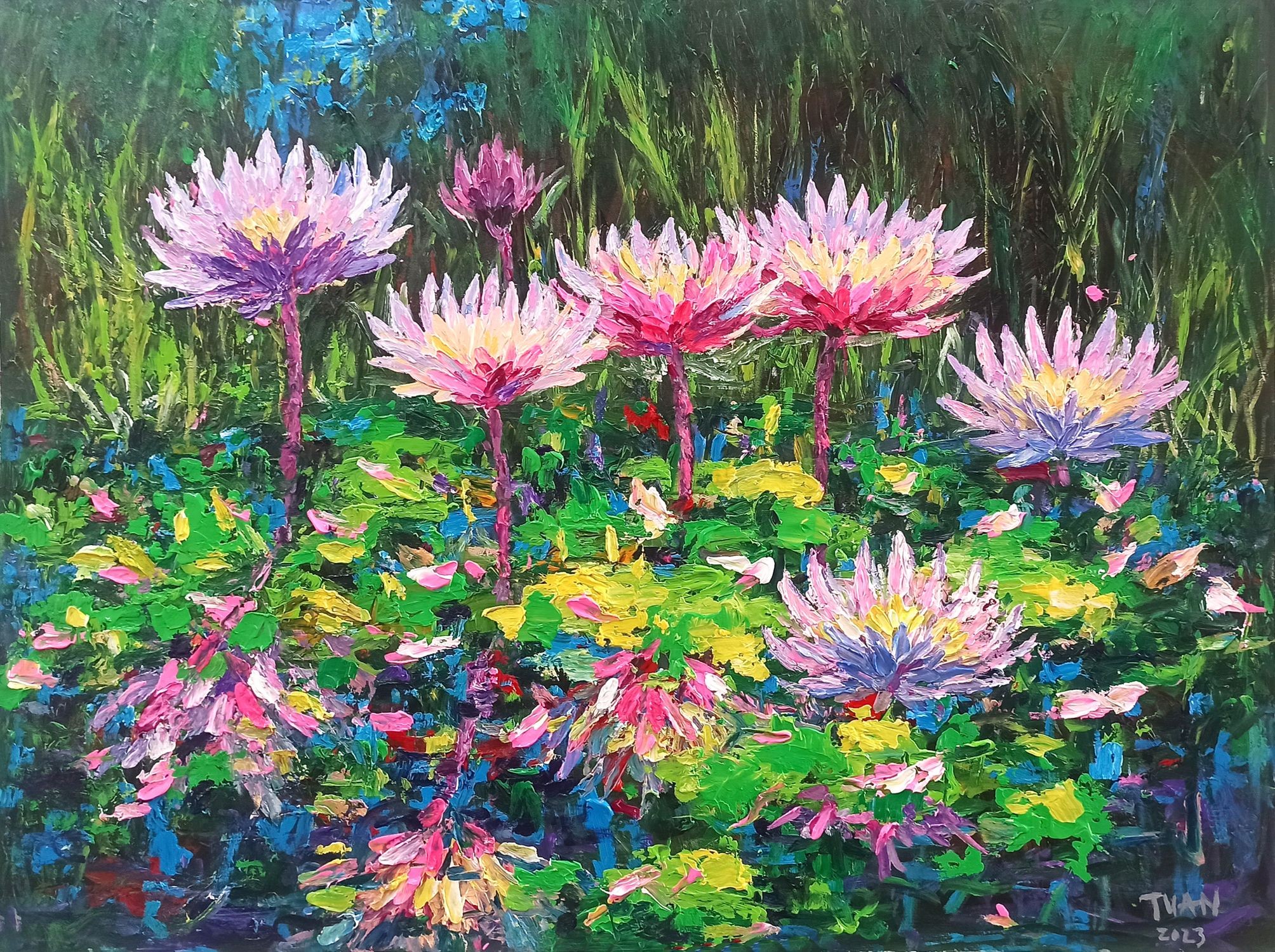Le anh Tuan, Blooming lilies pond Le anh Tuan, Blooming lilies pond