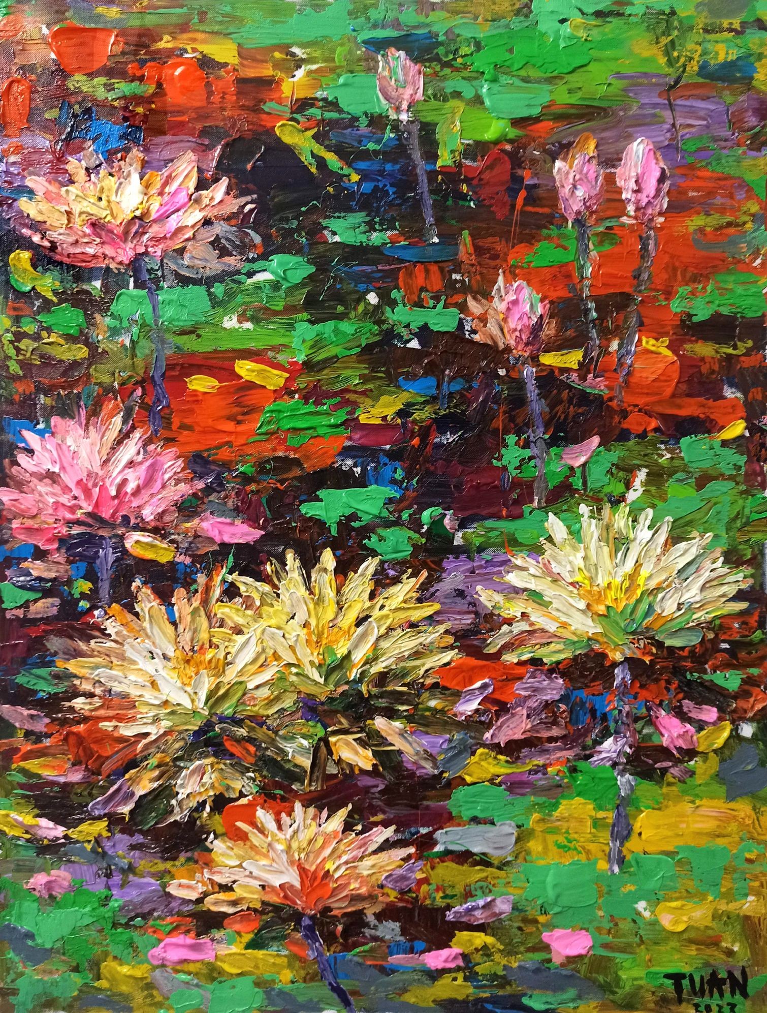 Le anh Tuan, Water lily, Flower of purity Le anh Tuan, Water lily, Flower of purity