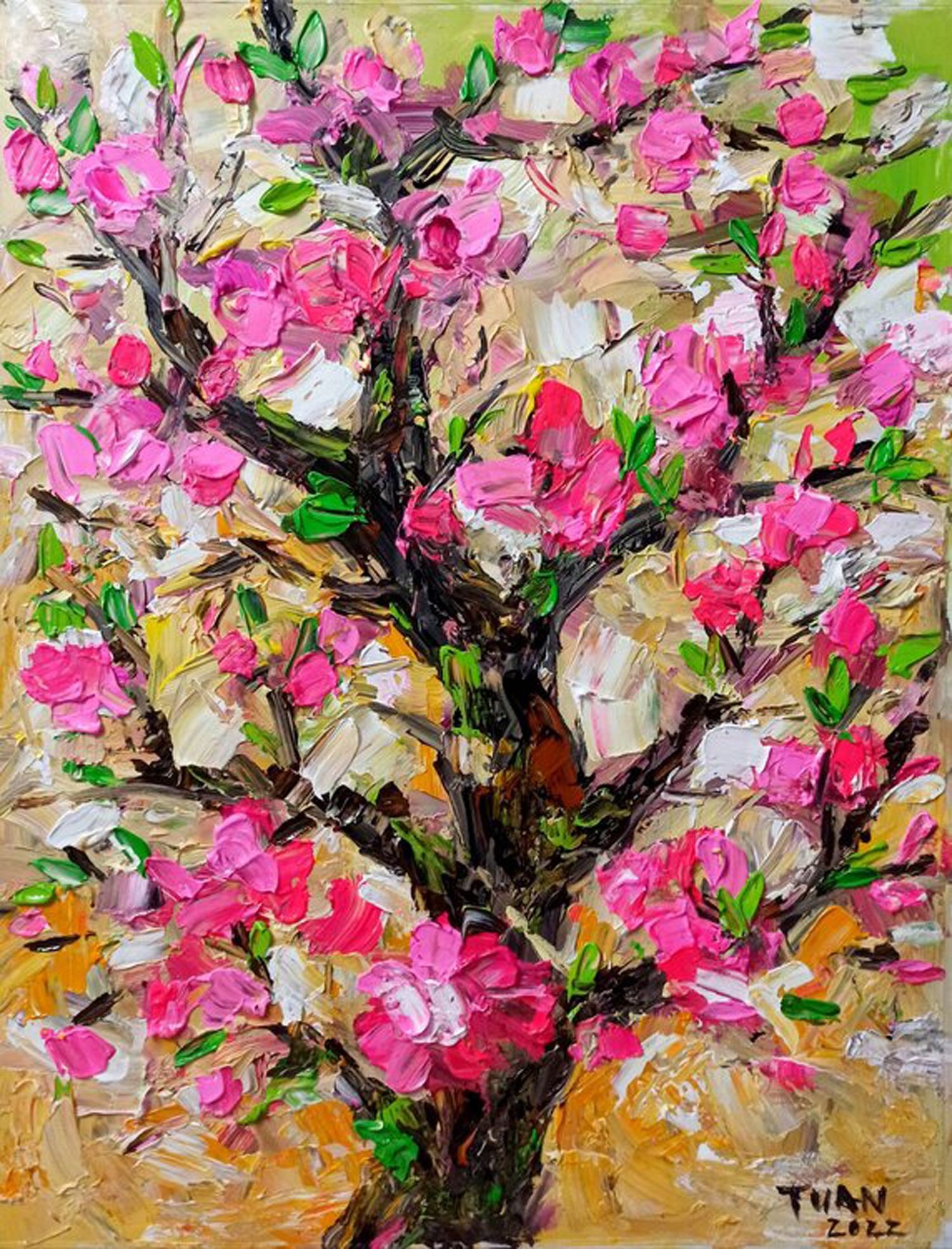Le anh Tuan, Spring Le anh Tuan, Spring
