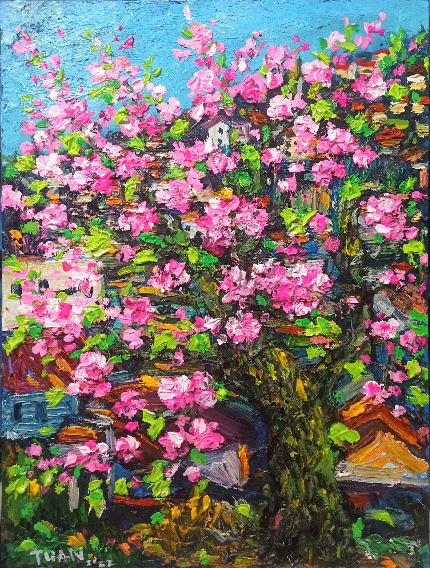 Le anh Tuan, Cherry blossoms Le anh Tuan, Cherry blossoms