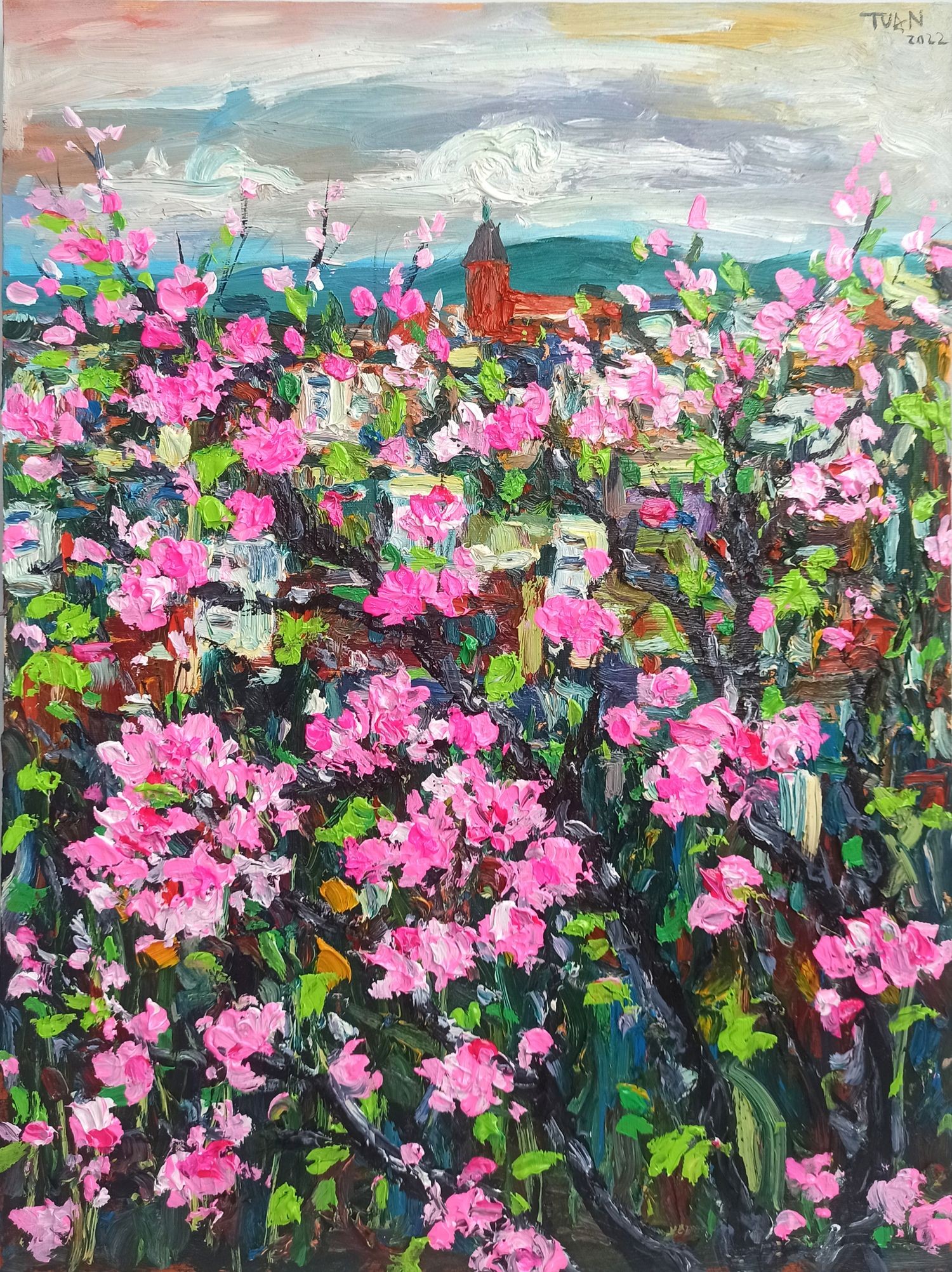 Le anh Tuan, The cherry blossoms have bloomed signaling a news Le anh Tuan, The cherry blossoms have bloomed signaling a news