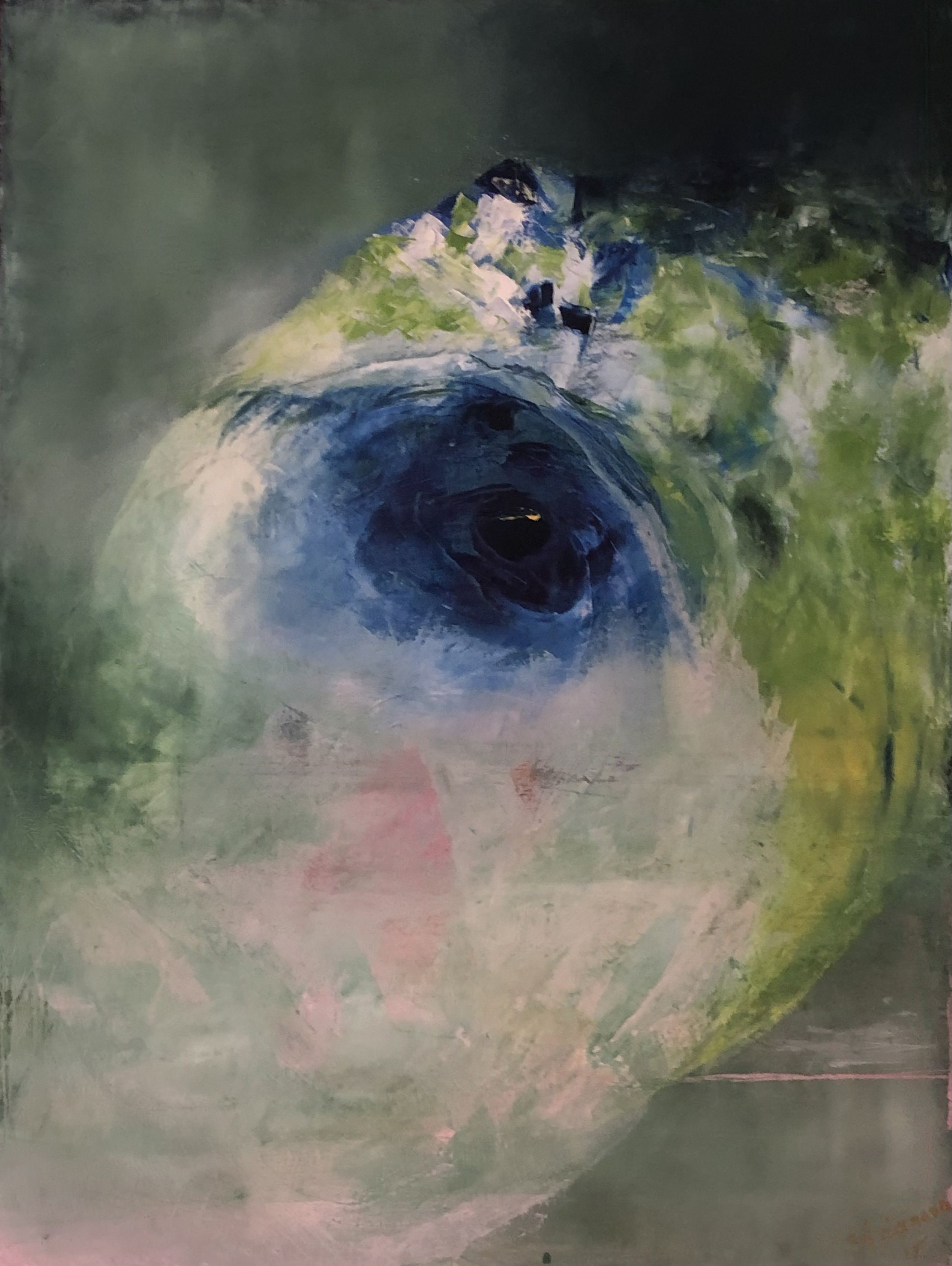 Ludmila Budanov, Eye Ludmila Budanov, Eye