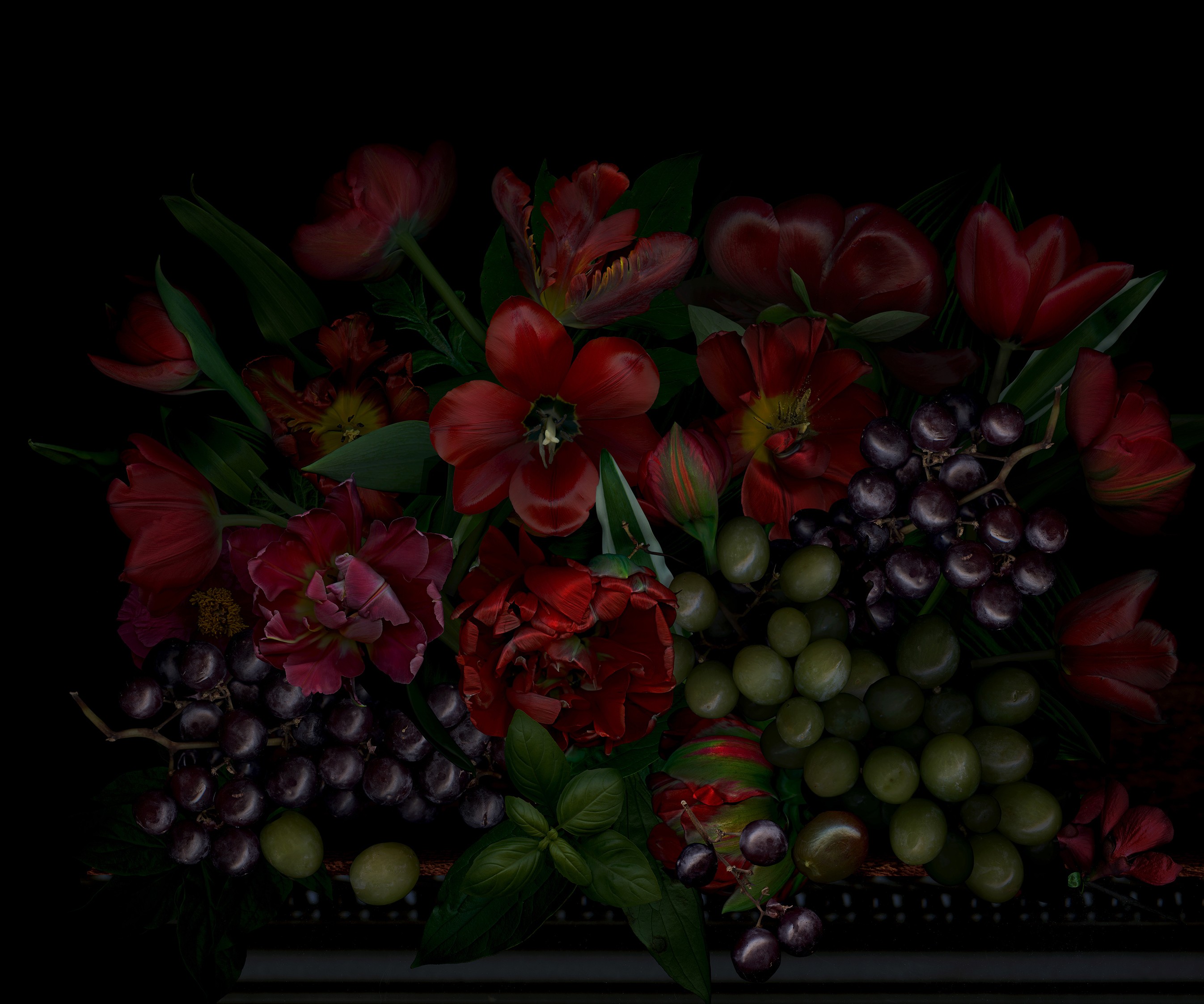Zoltan Gerliczki, Still Life with Grapes Zoltan Gerliczki, Still Life with Grapes
