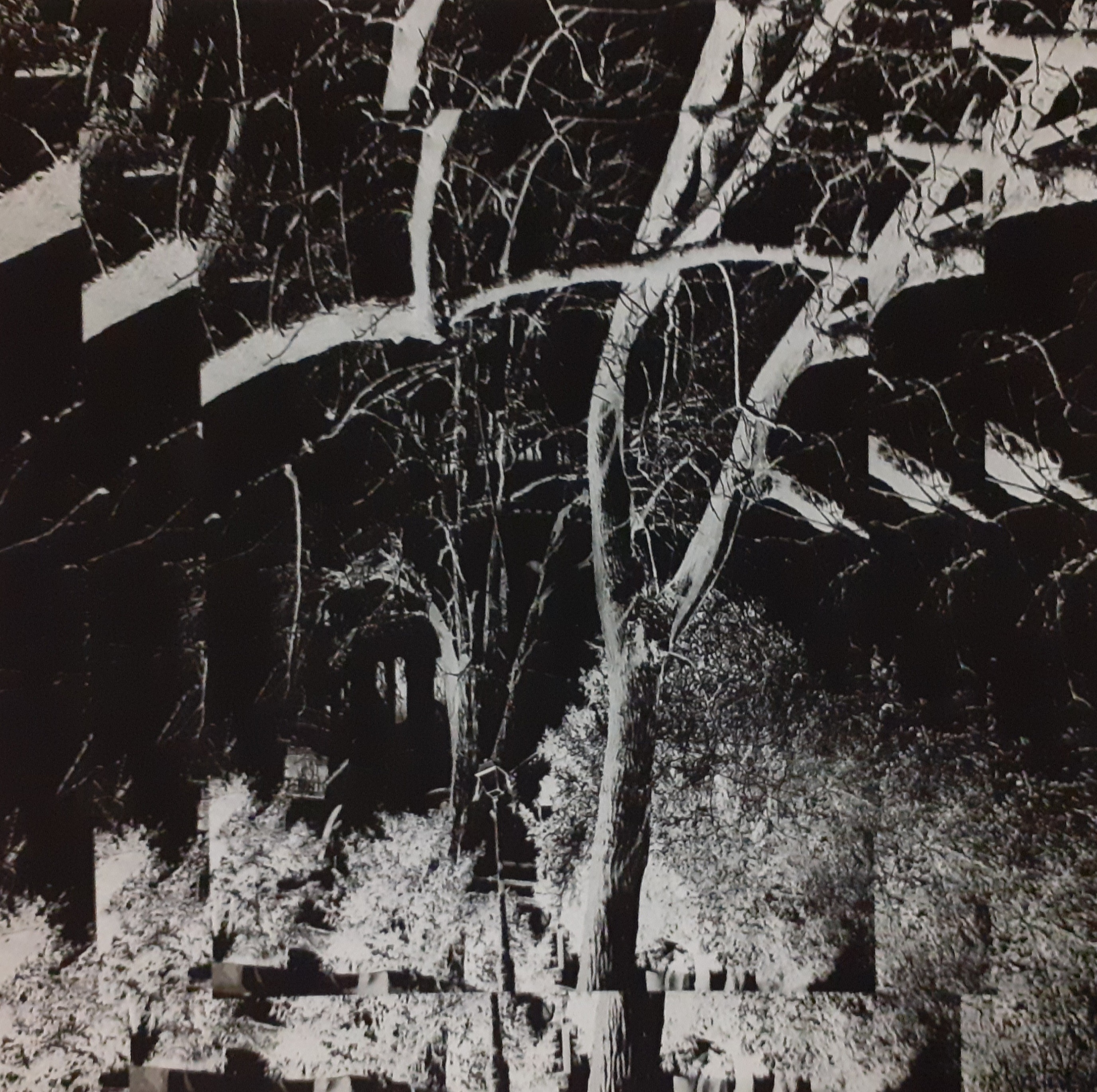 Sylvie Schambill, Hallucinations Sylvie Schambill, Hallucinations