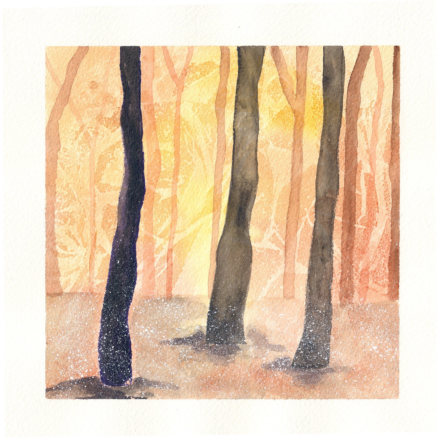 Gris De Garance, Forêt lumineuse jaune Gris De Garance, Forêt lumineuse jaune