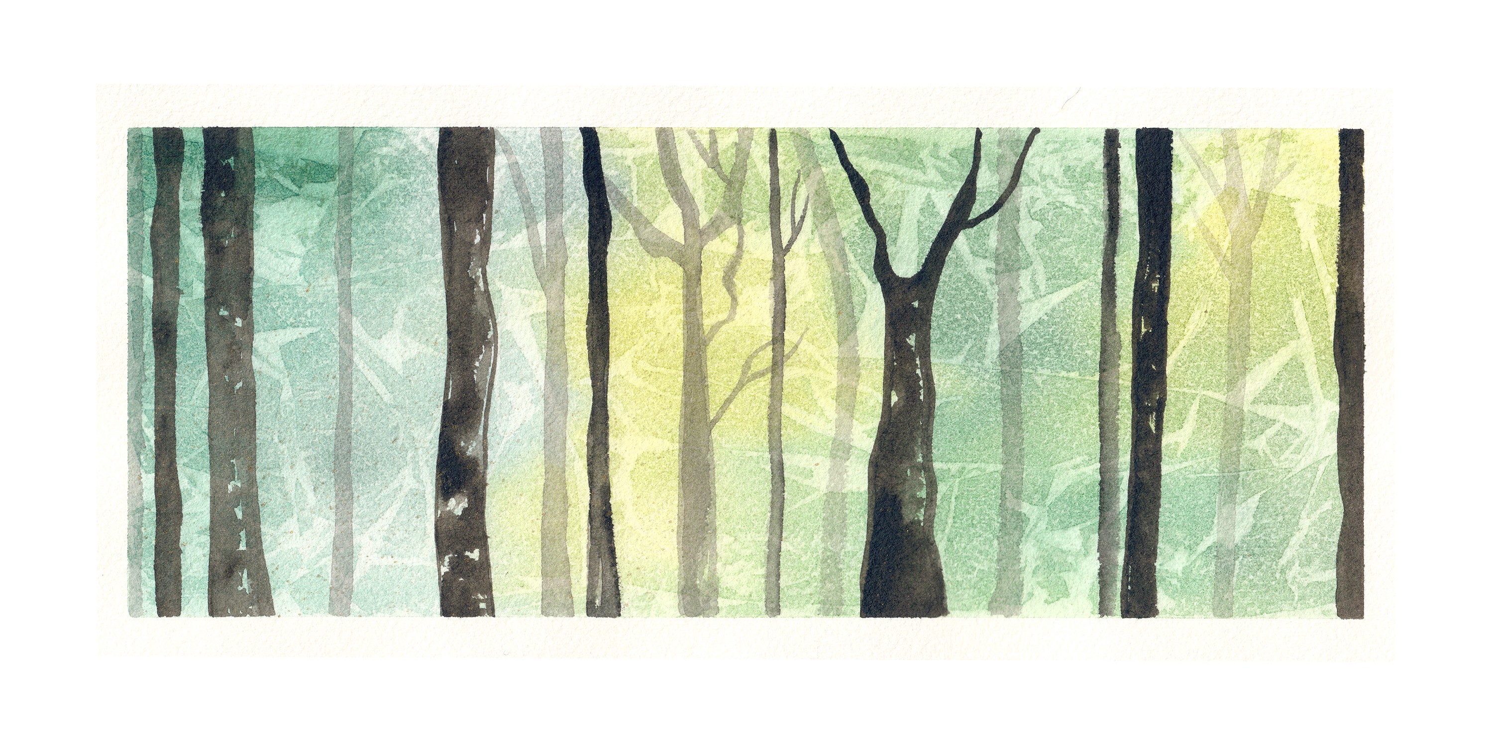 Gris De Garance, Forêt lumineuse verte Gris De Garance, Forêt lumineuse verte