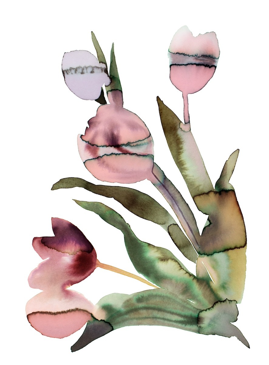 Elizabeth Becker, Tulips Elizabeth Becker, Tulips