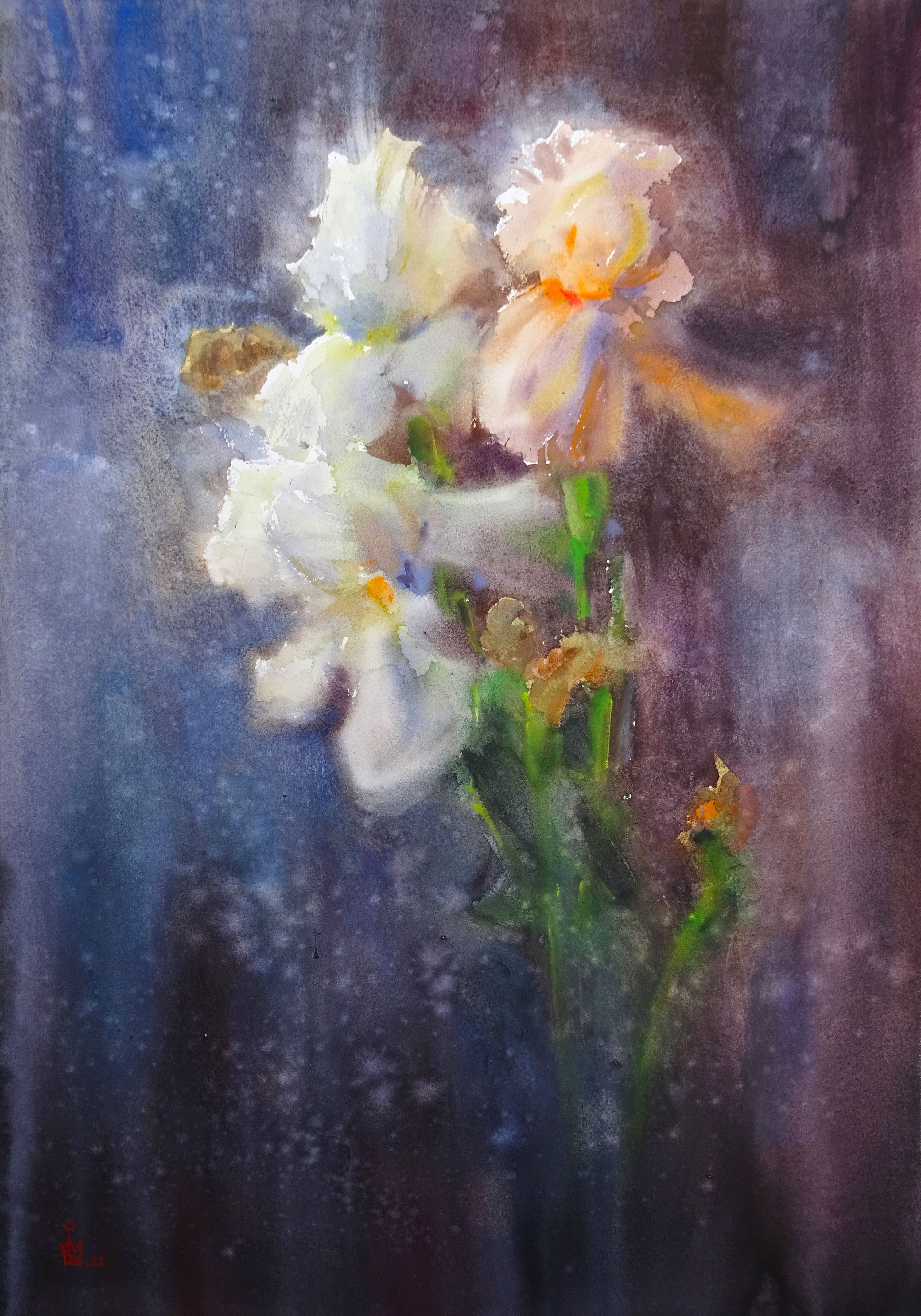 Maksym Kisilov, Irises Maksym Kisilov, Irises
