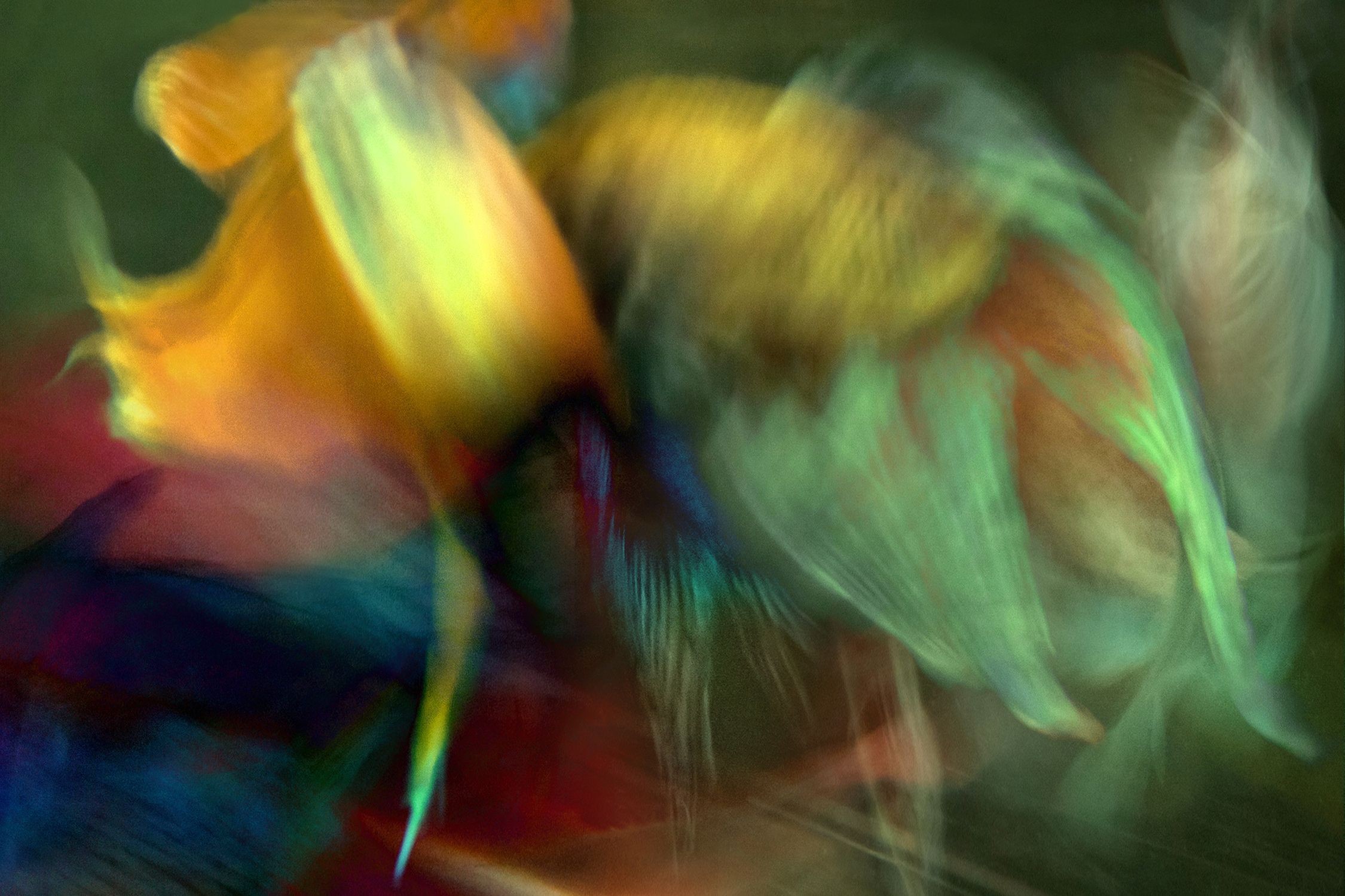 Michael Filonow, Betta Blur 17 Michael Filonow, Betta Blur 17