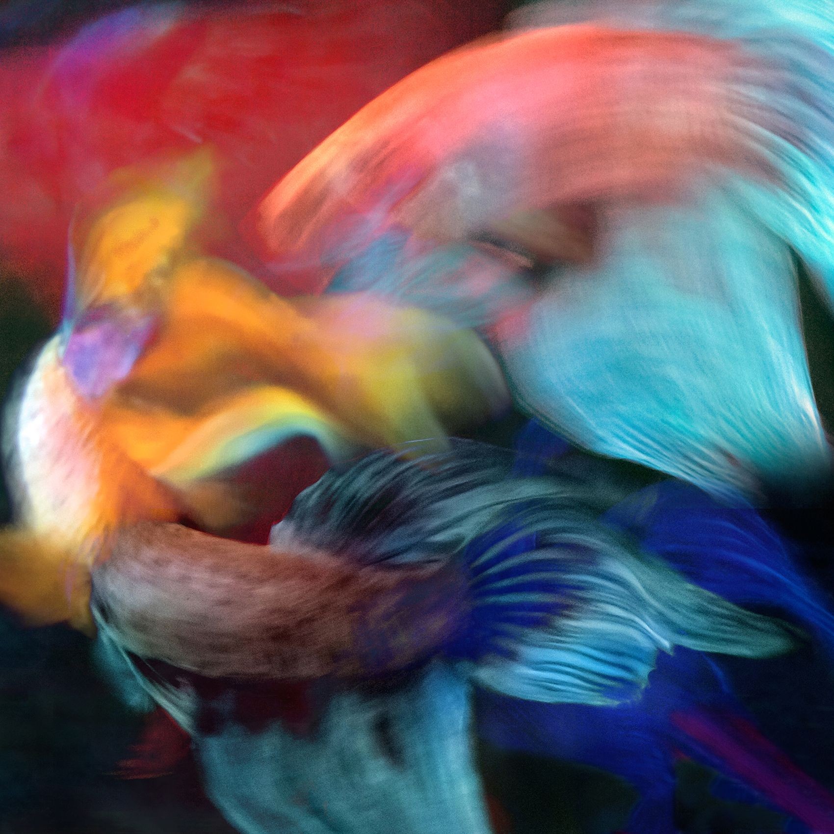 Michael Filonow, Betta Blur 34 Michael Filonow, Betta Blur 34