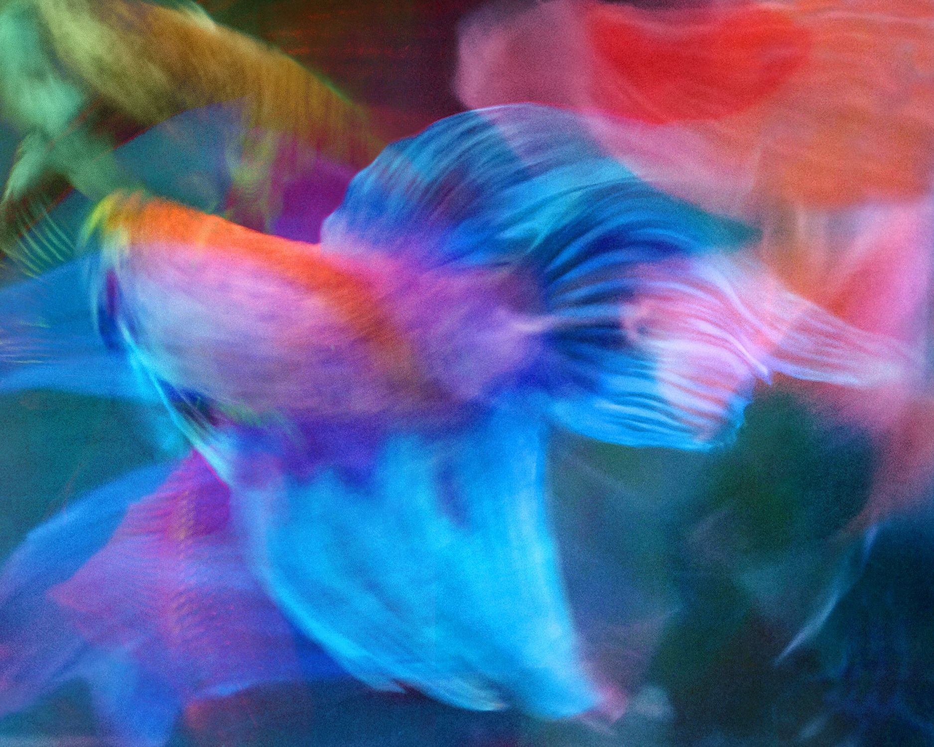 Michael Filonow, Betta Blur 22 Michael Filonow, Betta Blur 22