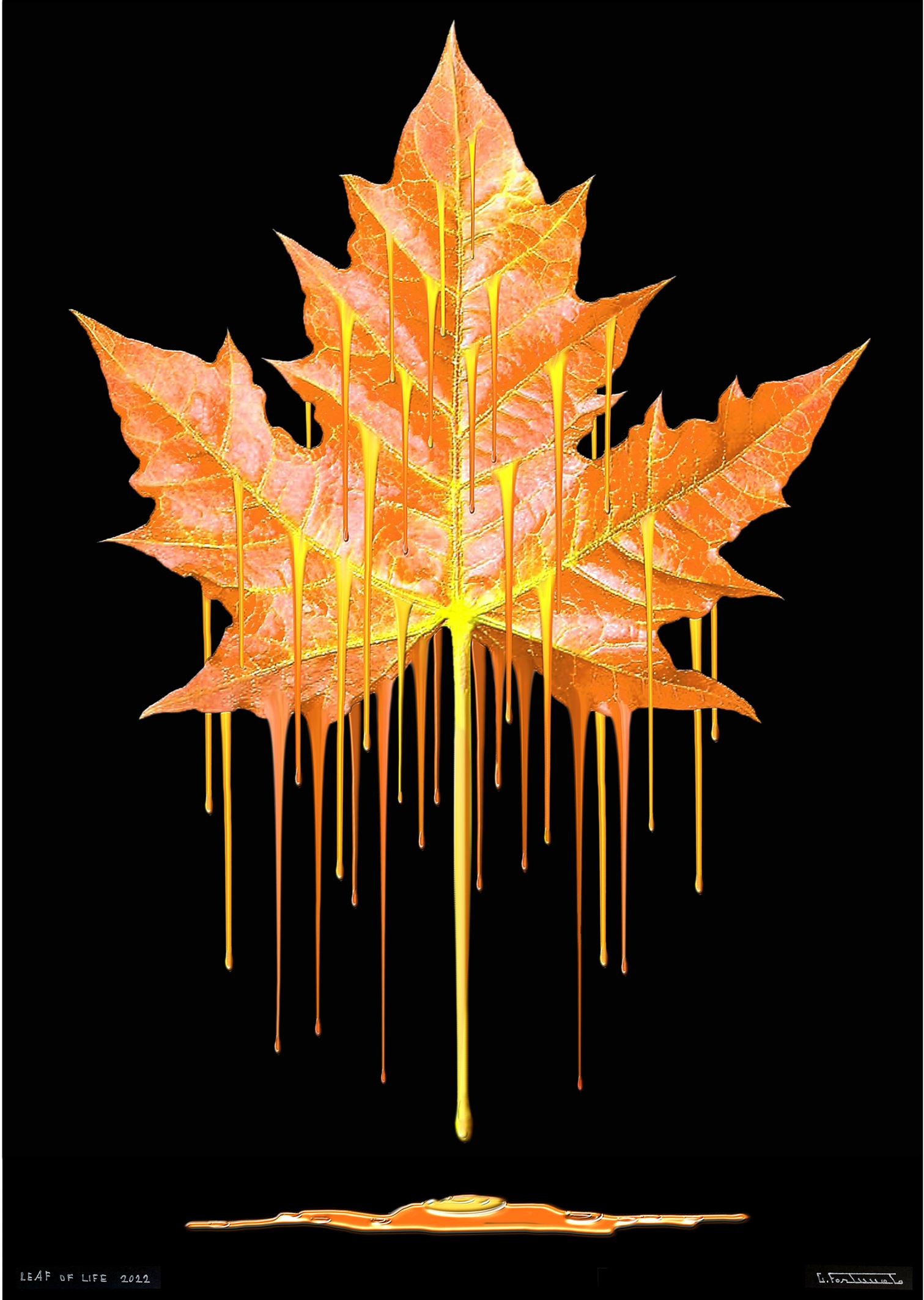 Giuseppe Fortunato, Leafe of life Giuseppe Fortunato, Leafe of life