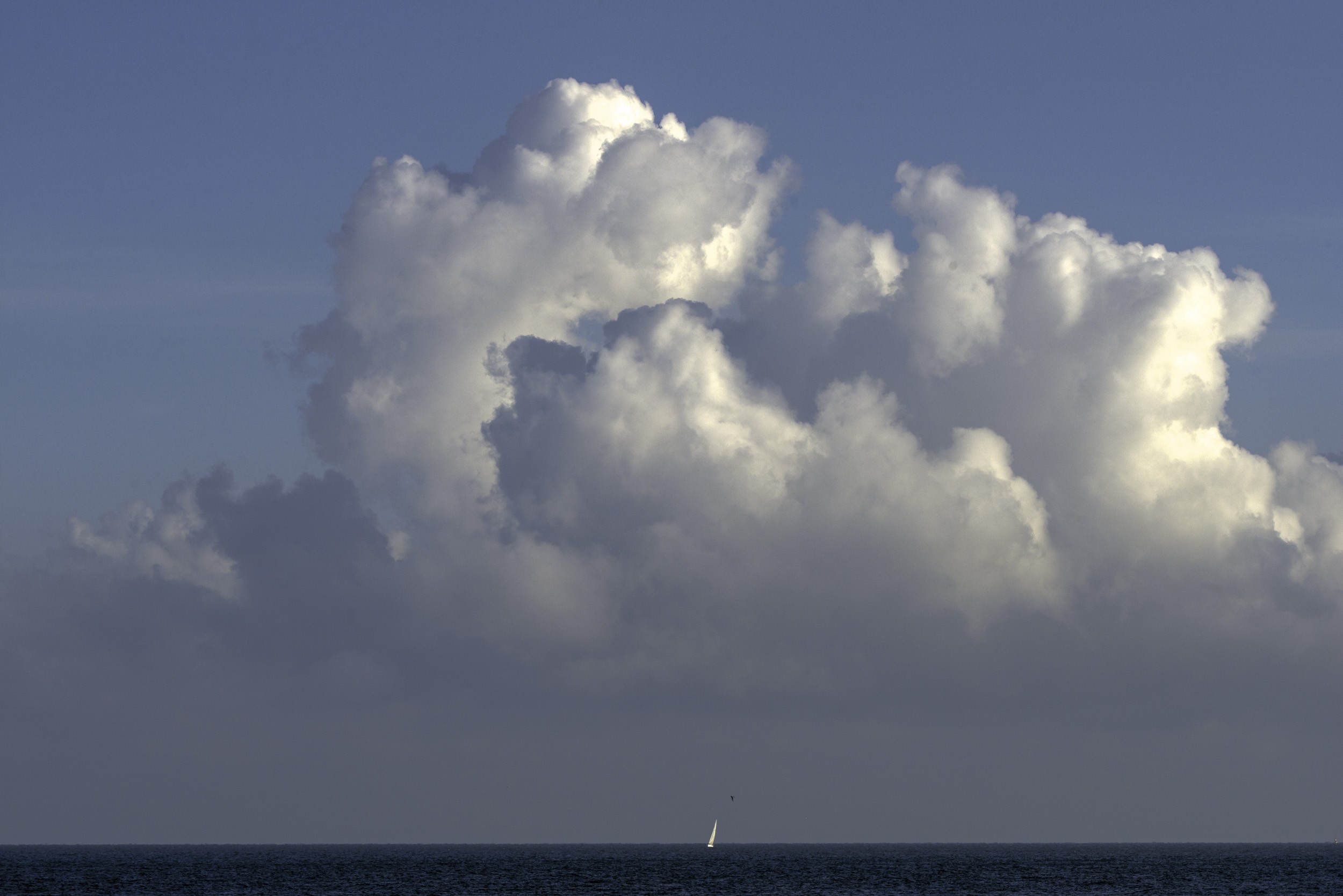 Pierre Moreau, Cumulus Pierre Moreau, Cumulus
