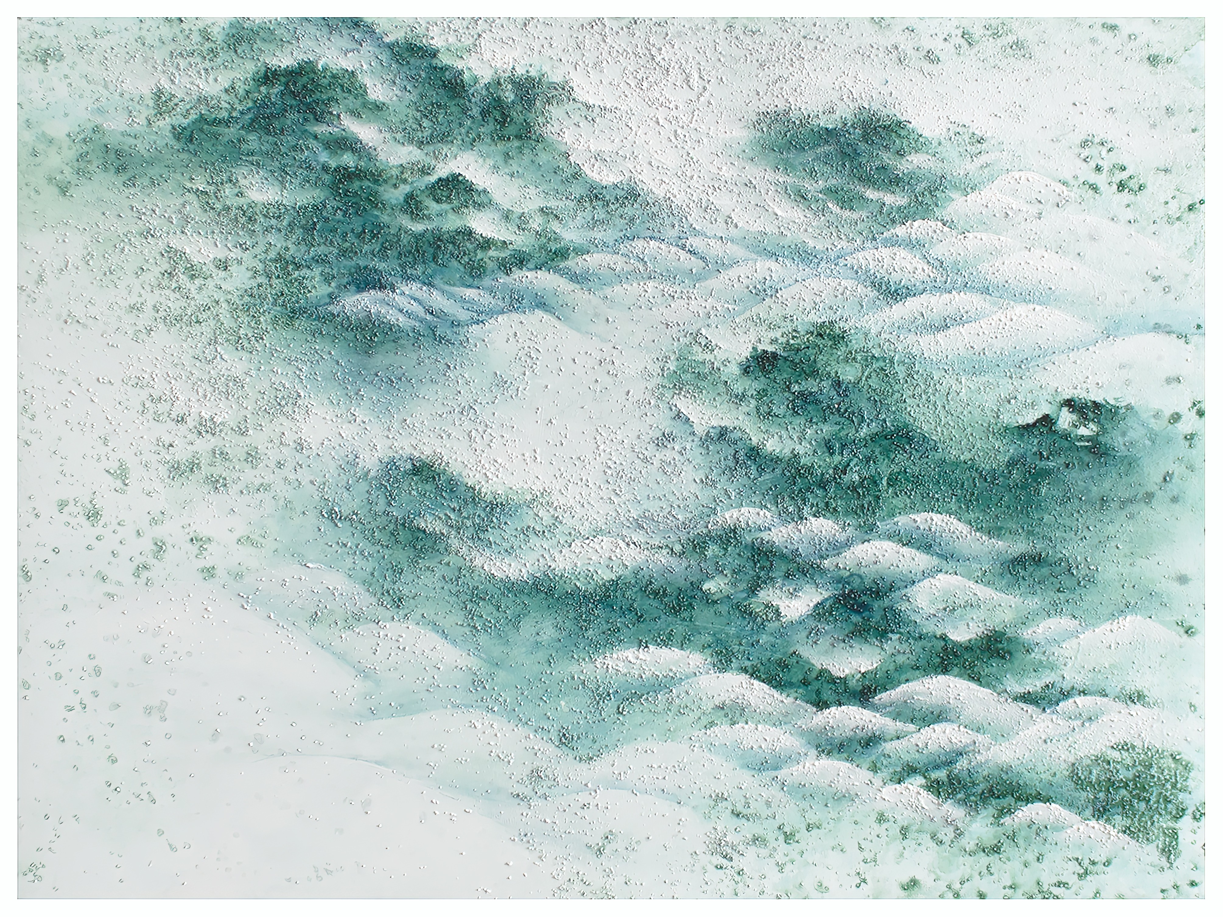Francesca Borgo, Silence of a forest Francesca Borgo, Silence of a forest