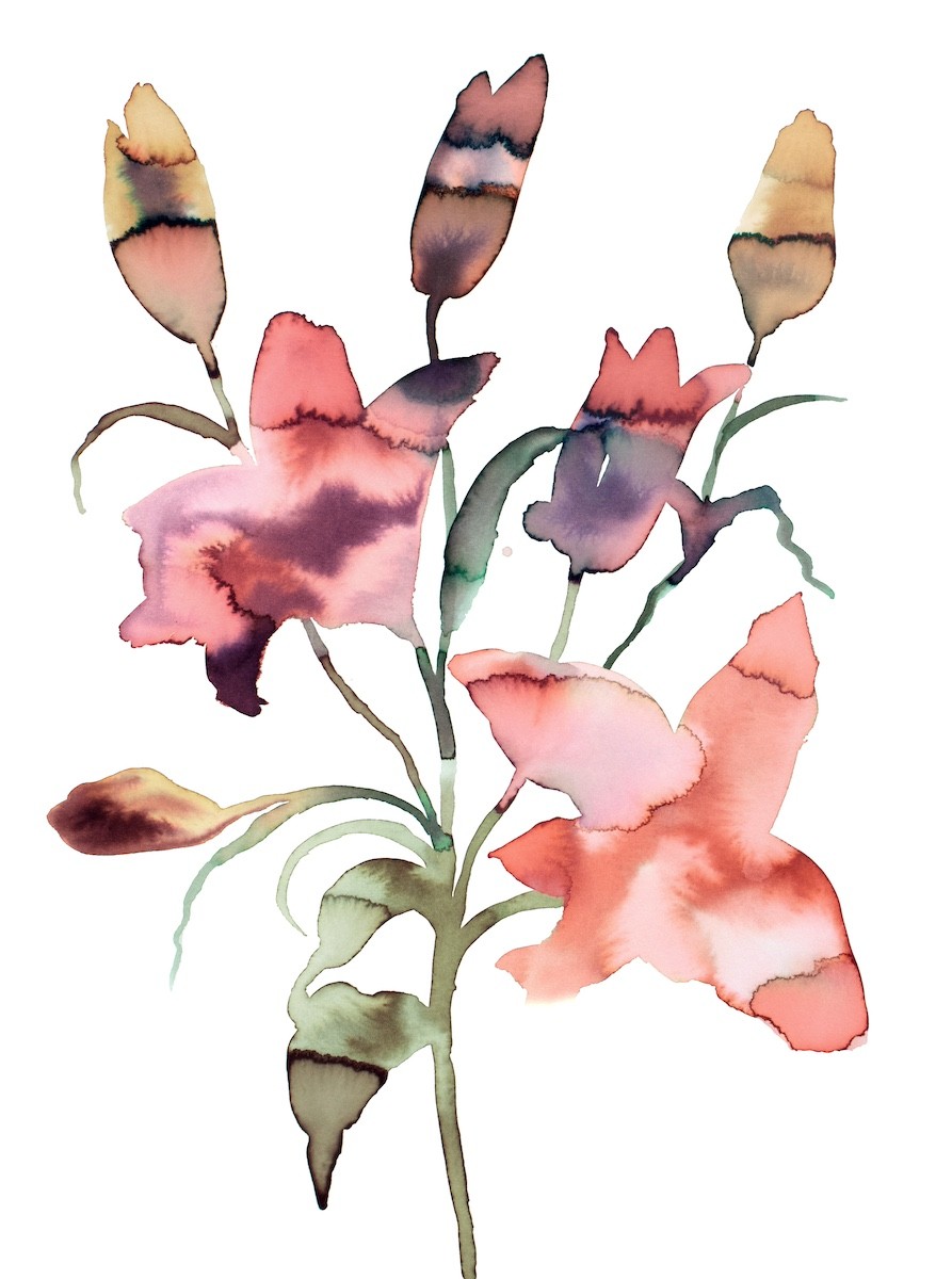 Elizabeth Becker, Lilies No. 2 Elizabeth Becker, Lilies No. 2