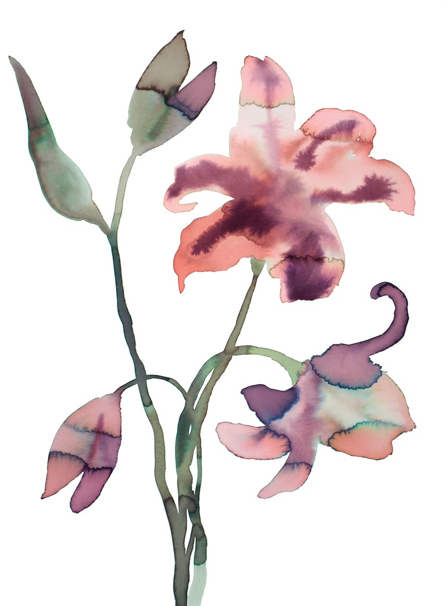 Elizabeth Becker, Lilies Elizabeth Becker, Lilies