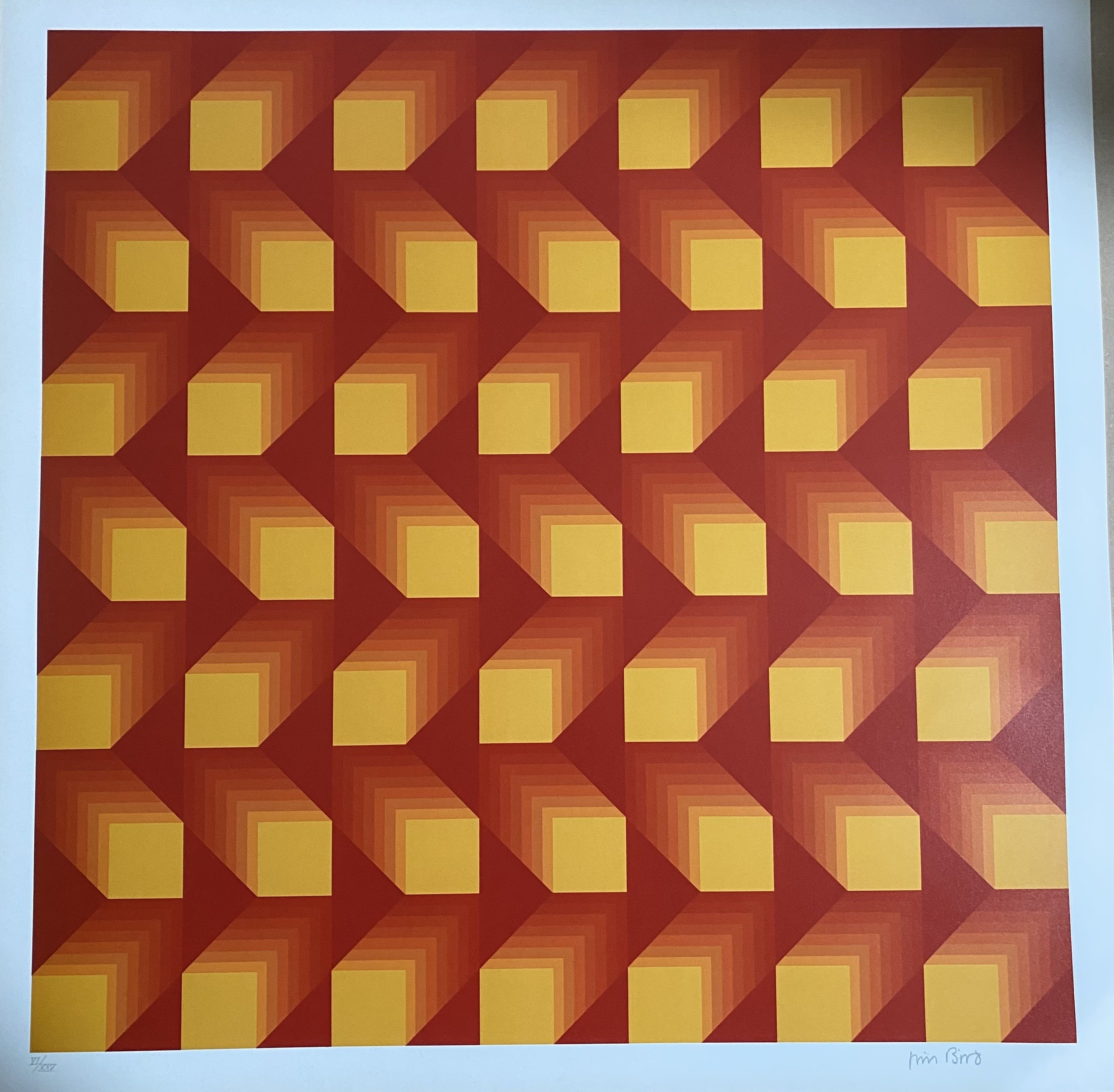 Jim Bird, Tribute to Vasarely Jim Bird, Tribute to Vasarely