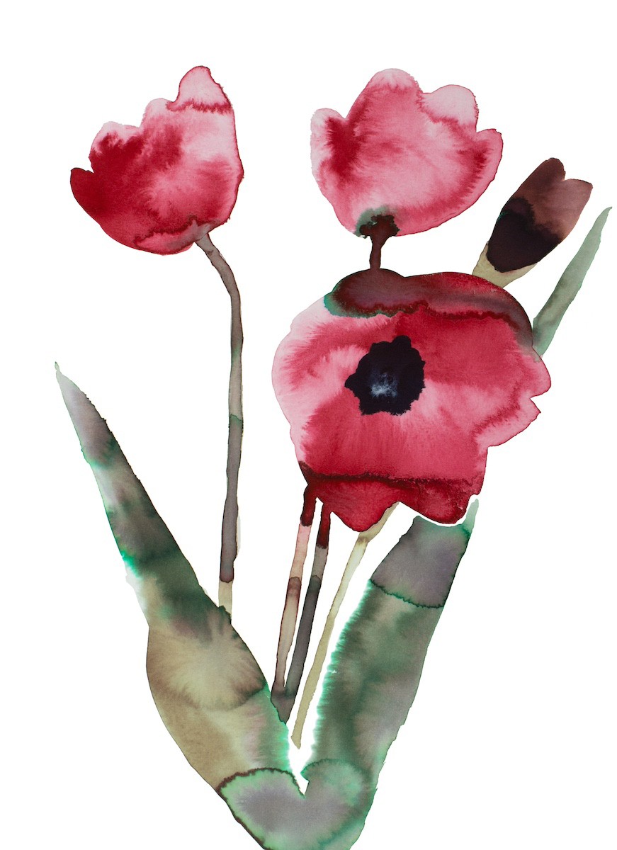 Elizabeth Becker, Tulips No. 2 Elizabeth Becker, Tulips No. 2
